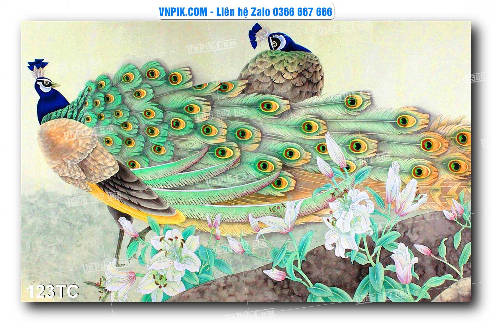 Tranh Treo Tường – Chim Công Hoa Mẫu Đơn 123TC