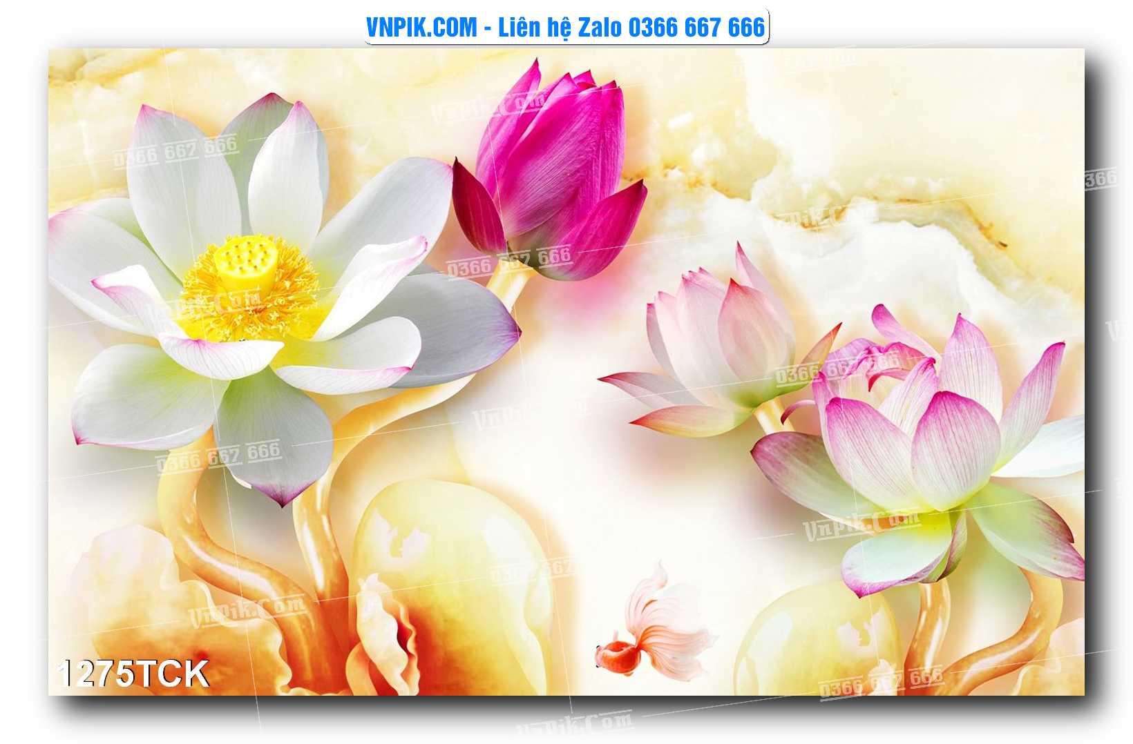 Tranh Hoa Sen – Cá Koi – Cá Chép 1275TCK
