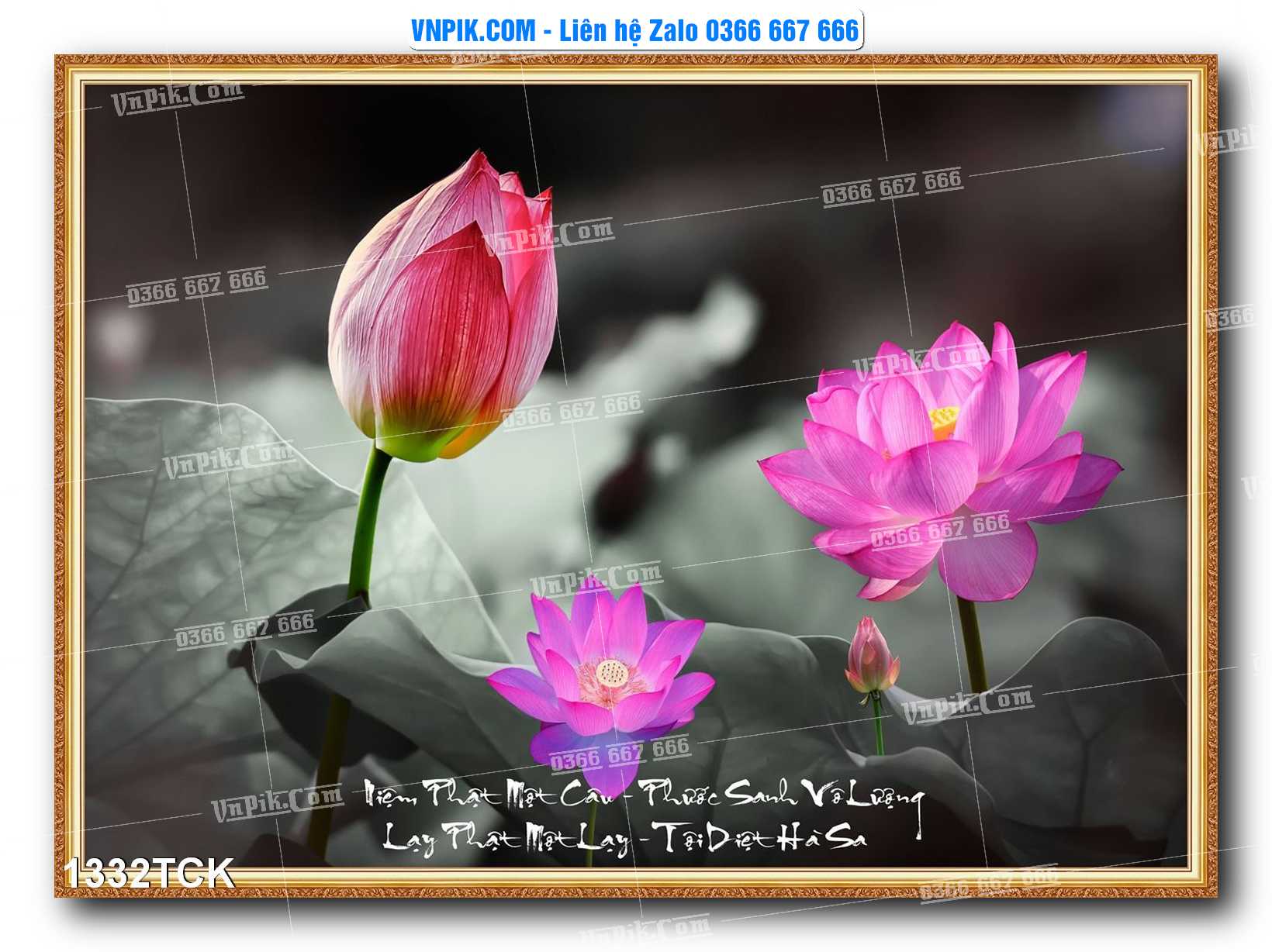 Tranh Hoa Sen – Cá Koi – Cá Chép 1332TCK