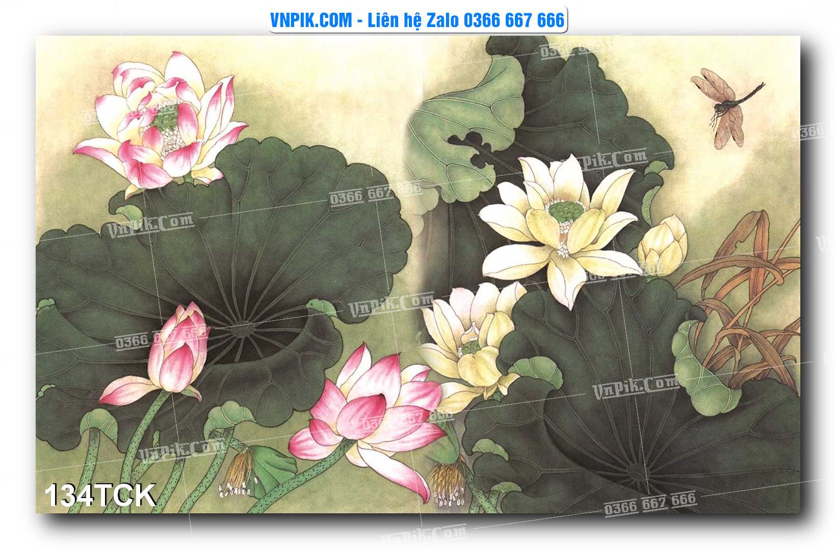 Tranh Hoa Sen – Cá Koi – Cá Chép  134TCK