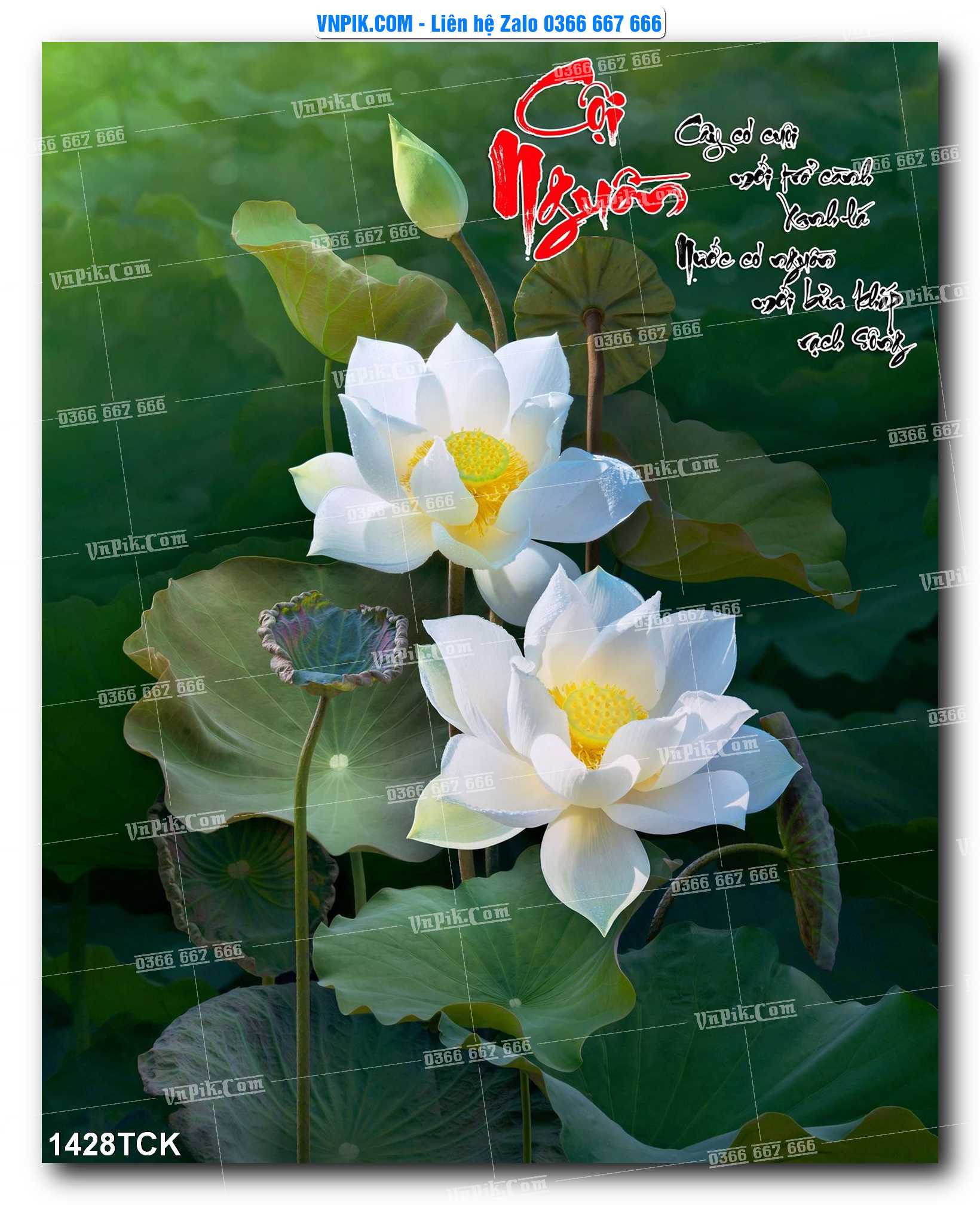 Tranh Hoa Sen – Cá Koi – Cá Chép 1428TCK