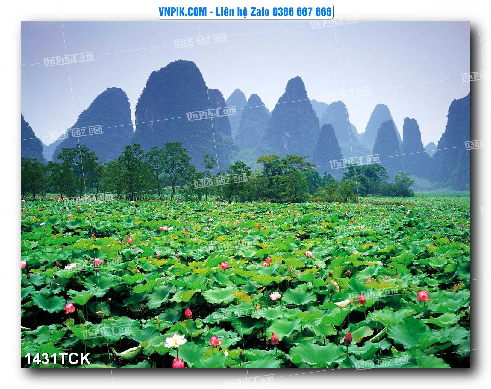 Tranh Hoa Sen – Cá Koi – Cá Chép 1431TCK