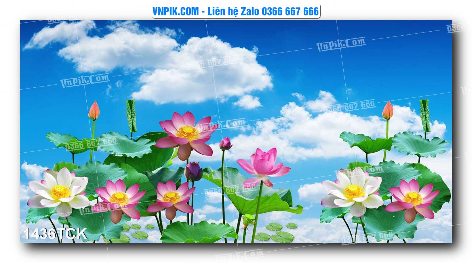 Tranh Hoa Sen – Cá Koi – Cá Chép 1436TCK