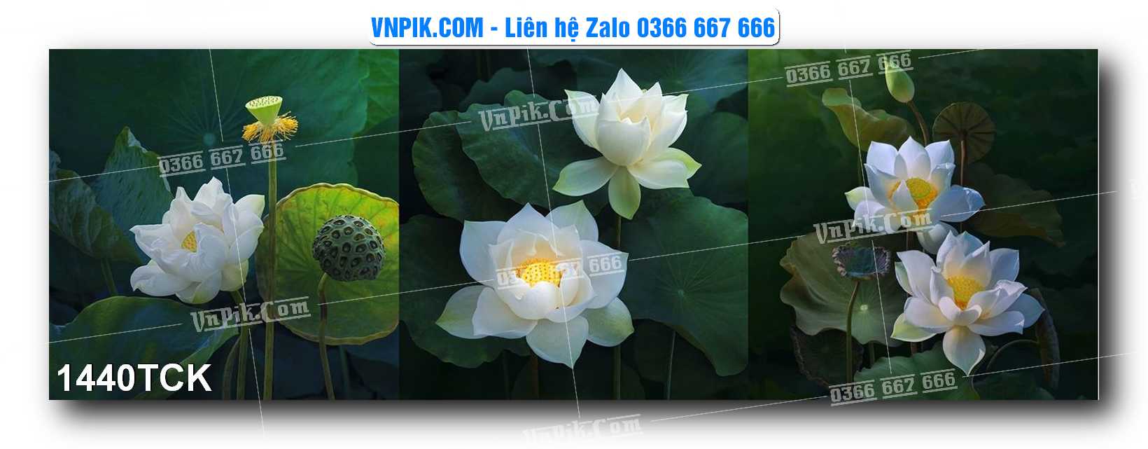 Tranh Hoa Sen – Cá Koi – Cá Chép 1440TCK