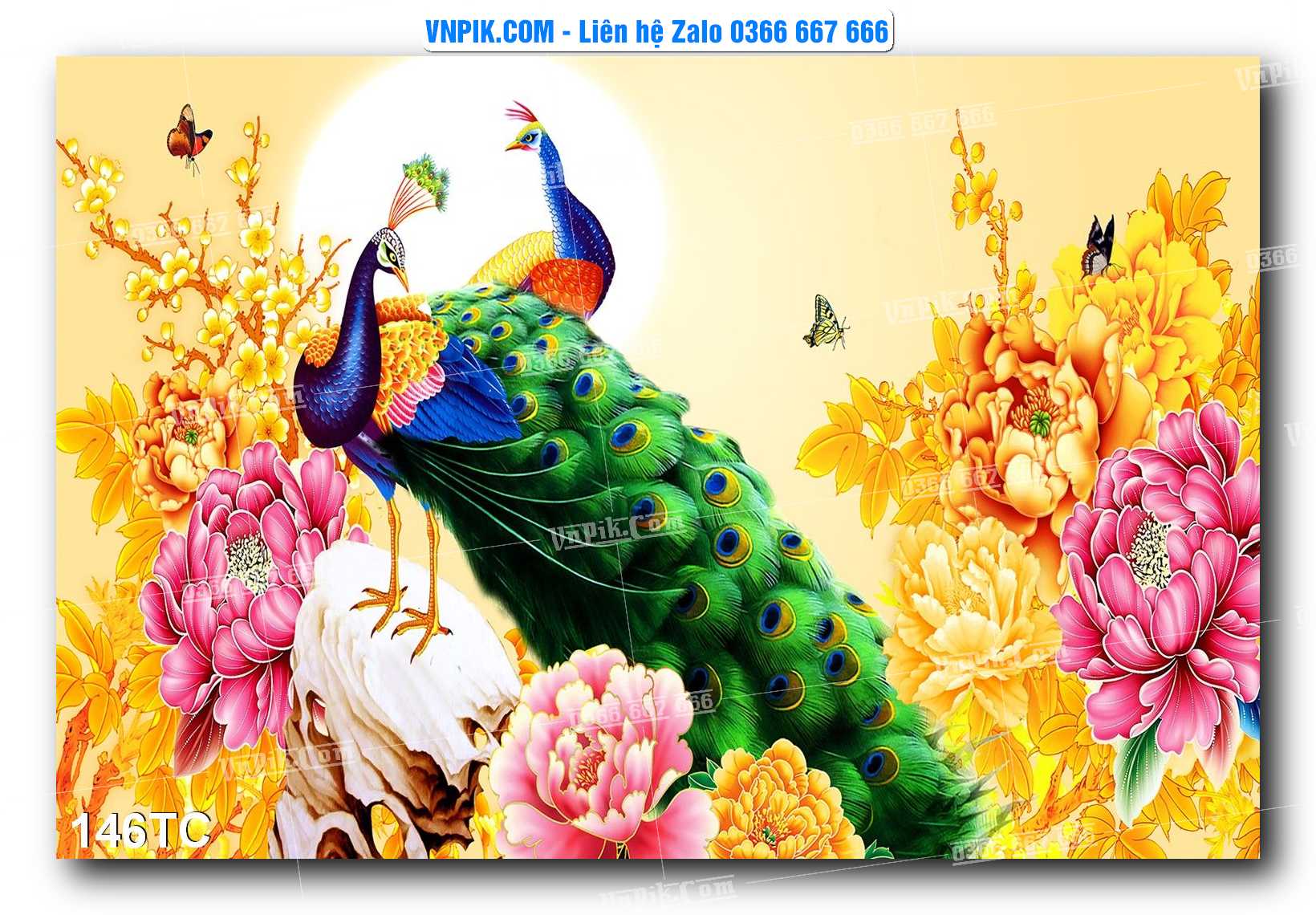 Tranh Treo Tường – Chim Công Hoa Mẫu Đơn 146TC