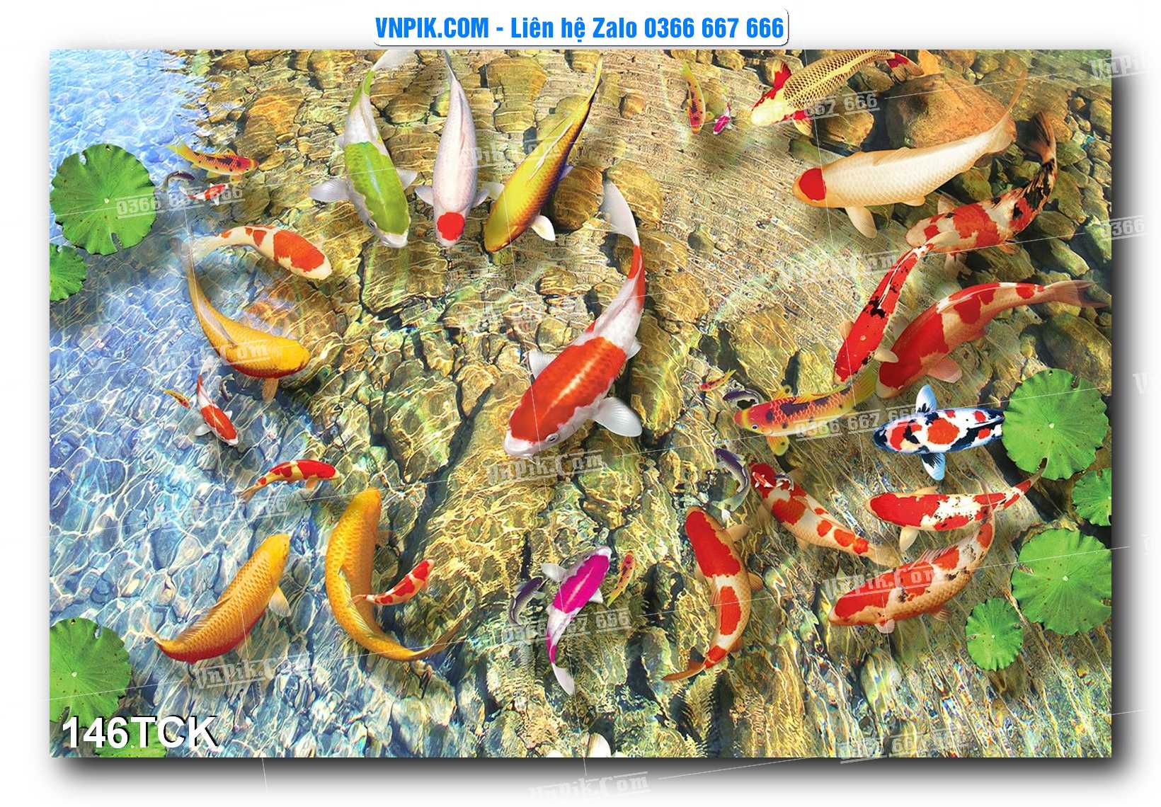 Tranh Hoa Sen – Cá Koi – Cá Chép  146TCK