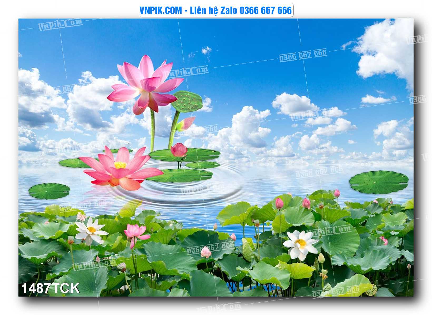 Tranh Hoa Sen – Cá Koi – Cá Chép 1487TCK