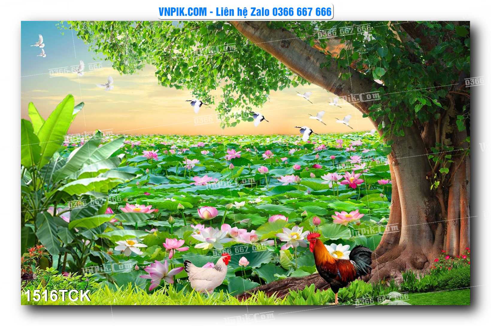 Tranh Hoa Sen – Cá Koi – Cá Chép 1516TCK