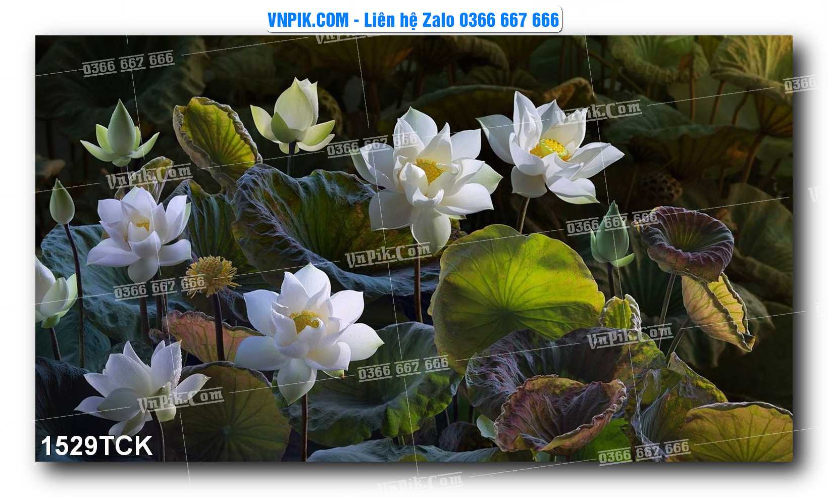 Tranh Hoa Sen – Cá Koi – Cá Chép 1529TCK