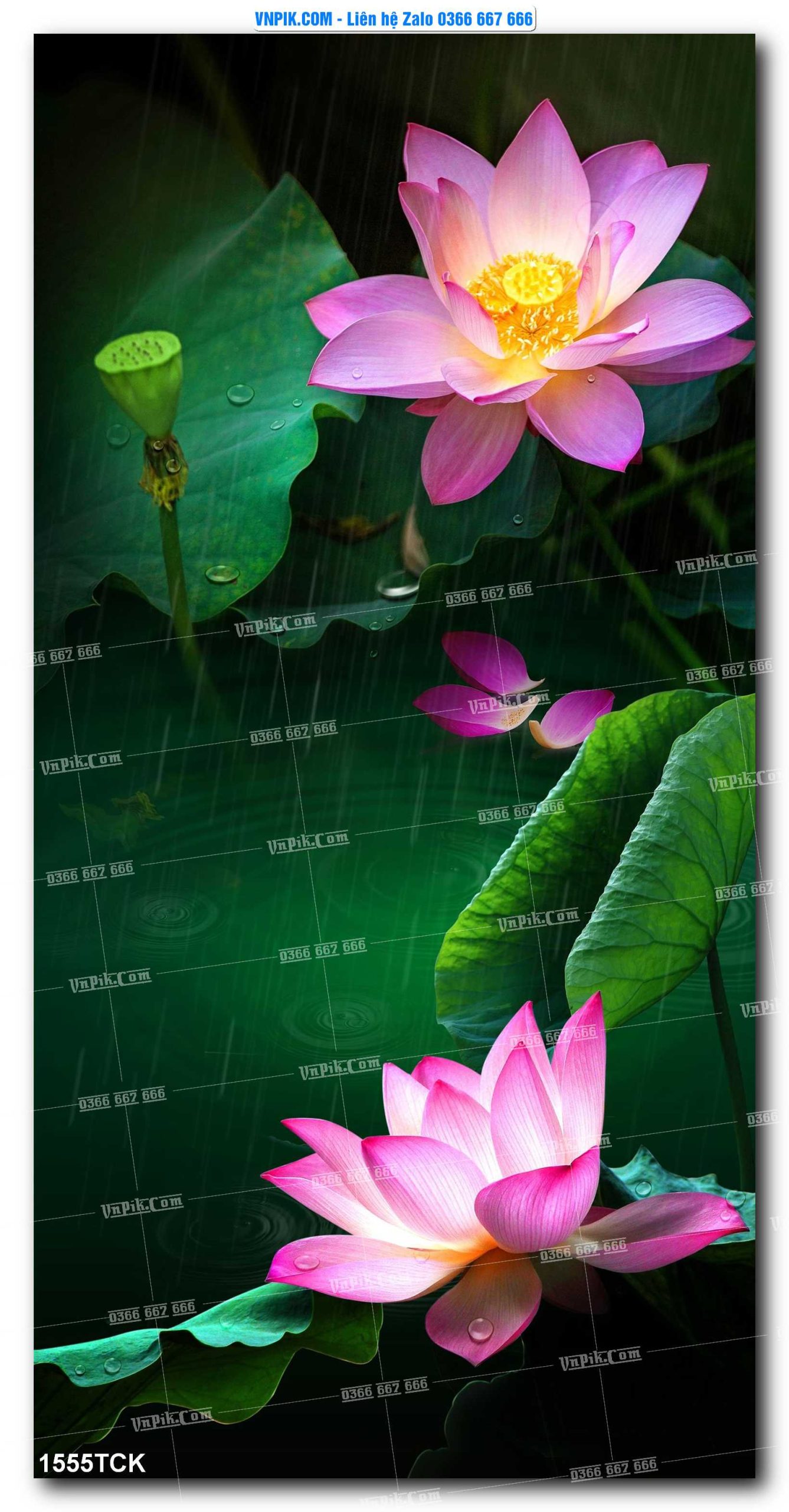 Tranh Hoa Sen – Cá Koi – Cá Chép 1555TCK