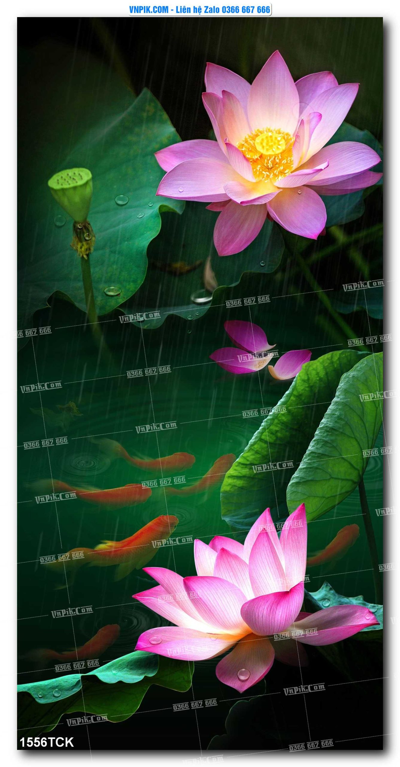 Tranh Hoa Sen – Cá Koi – Cá Chép 1556TCK