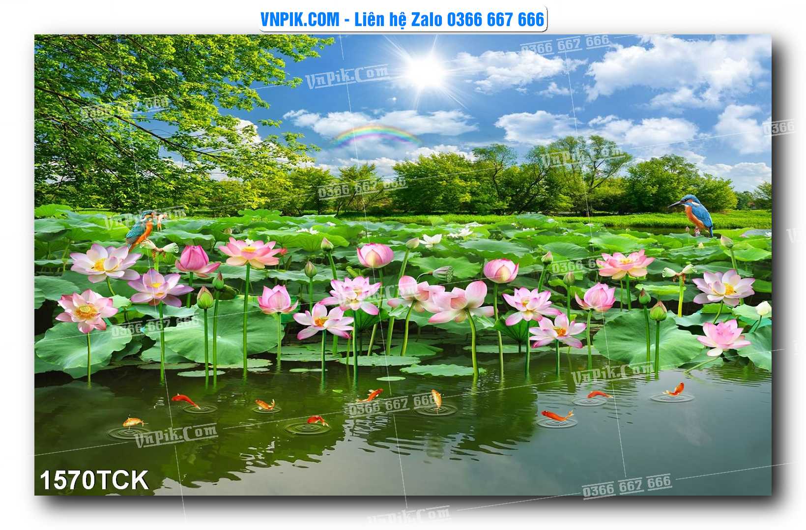 Tranh Hoa Sen – Cá Koi – Cá Chép 1570TCK
