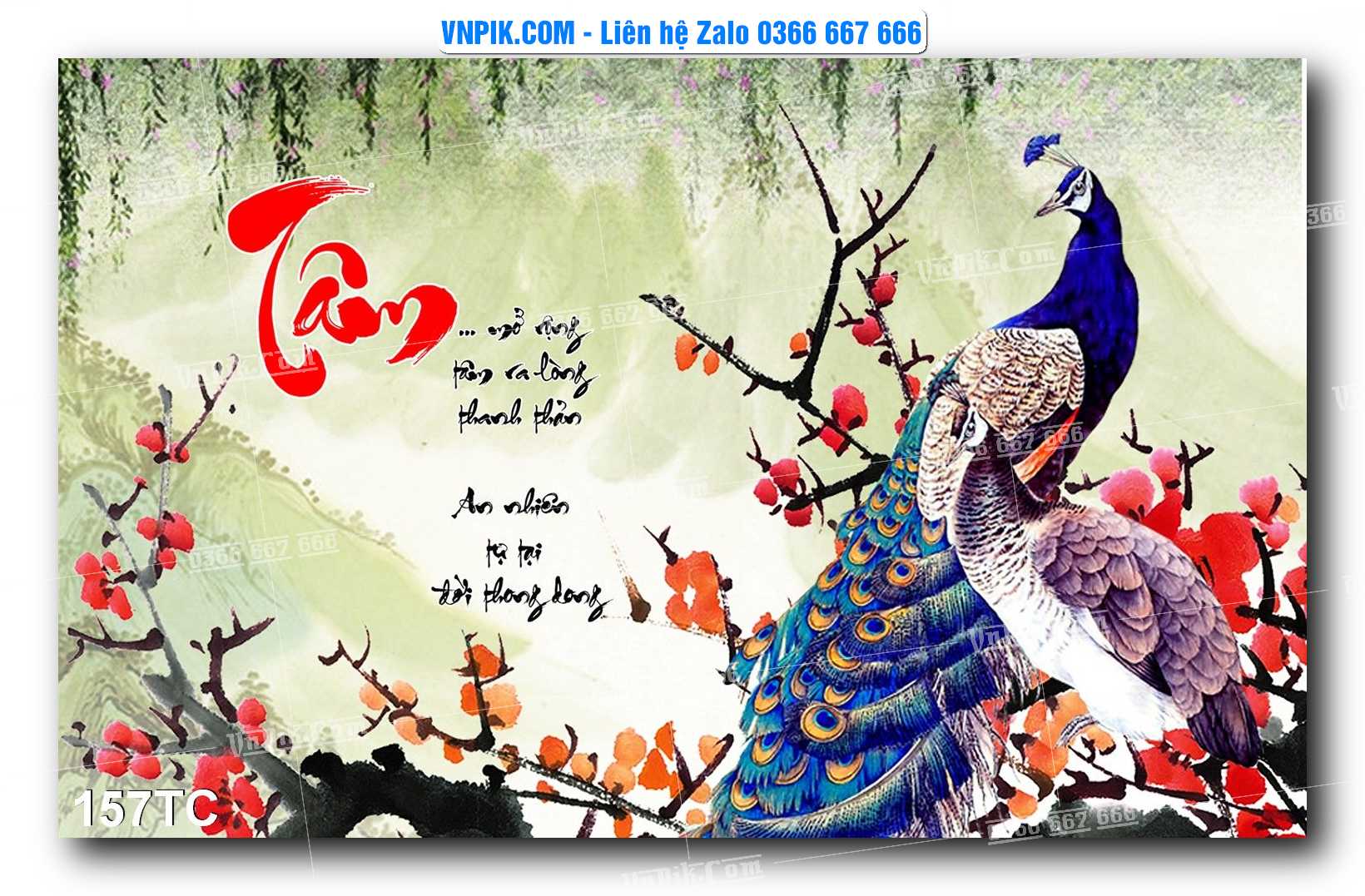 Tranh Treo Tường – Chim Công Hoa Mẫu Đơn 157TC