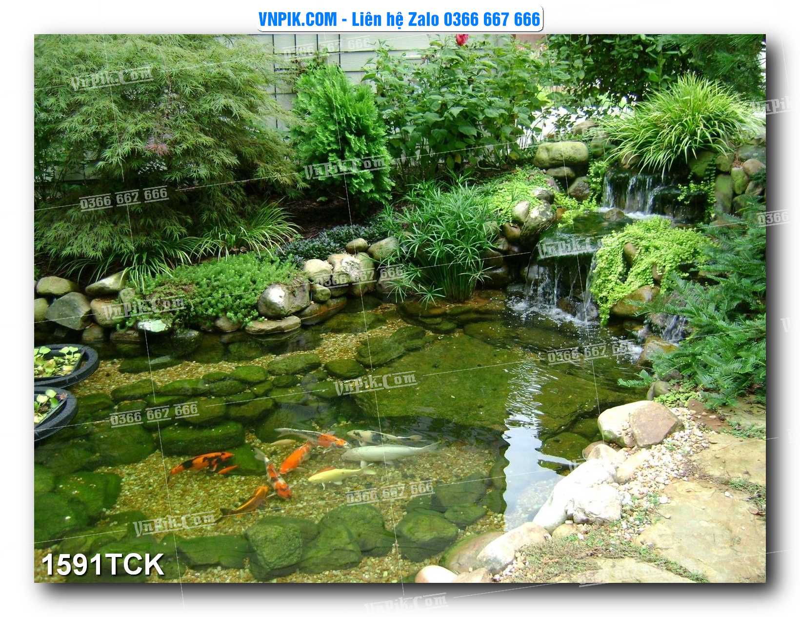 Tranh Hoa Sen – Cá Koi – Cá Chép 1591TCK