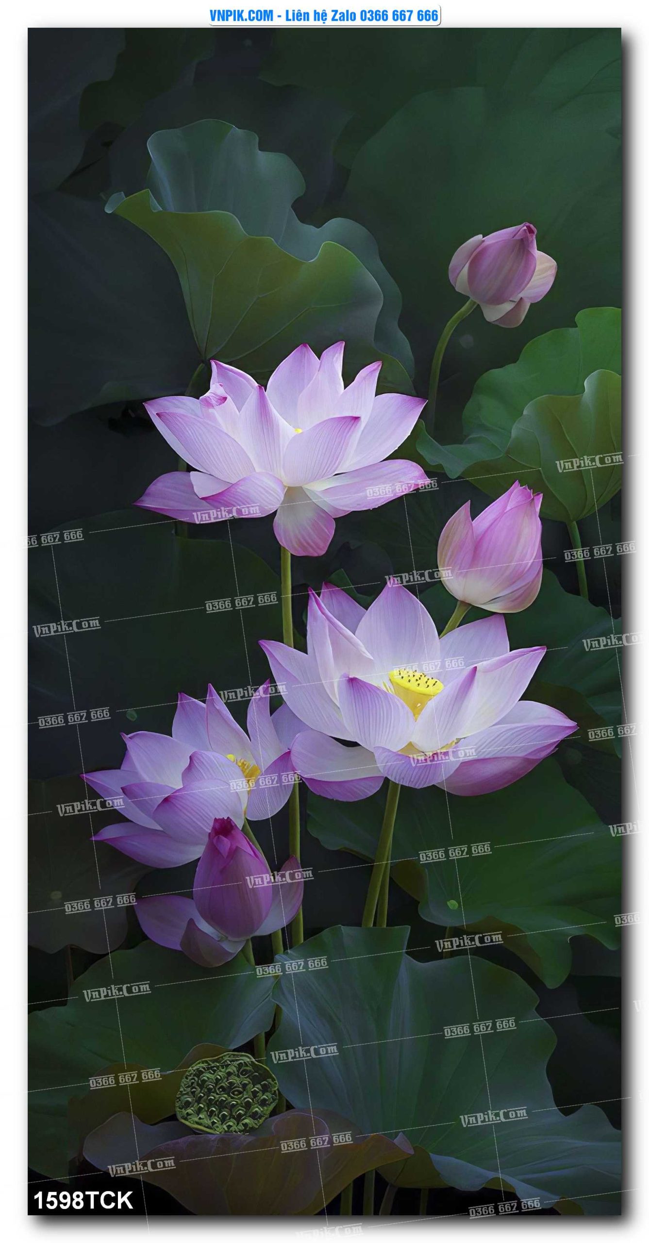 Tranh Hoa Sen – Cá Koi – Cá Chép 1598TCK