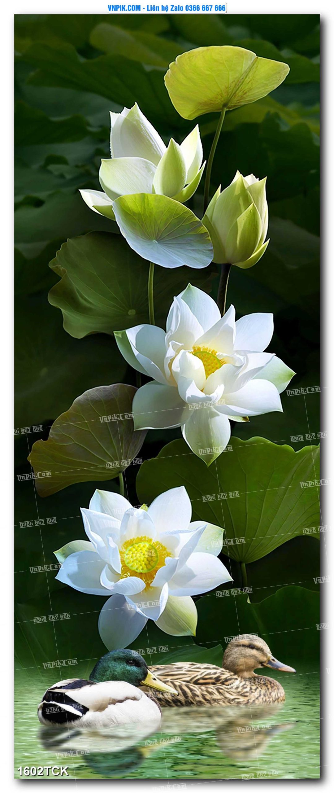 Tranh Hoa Sen – Cá Koi – Cá Chép 1602TCK