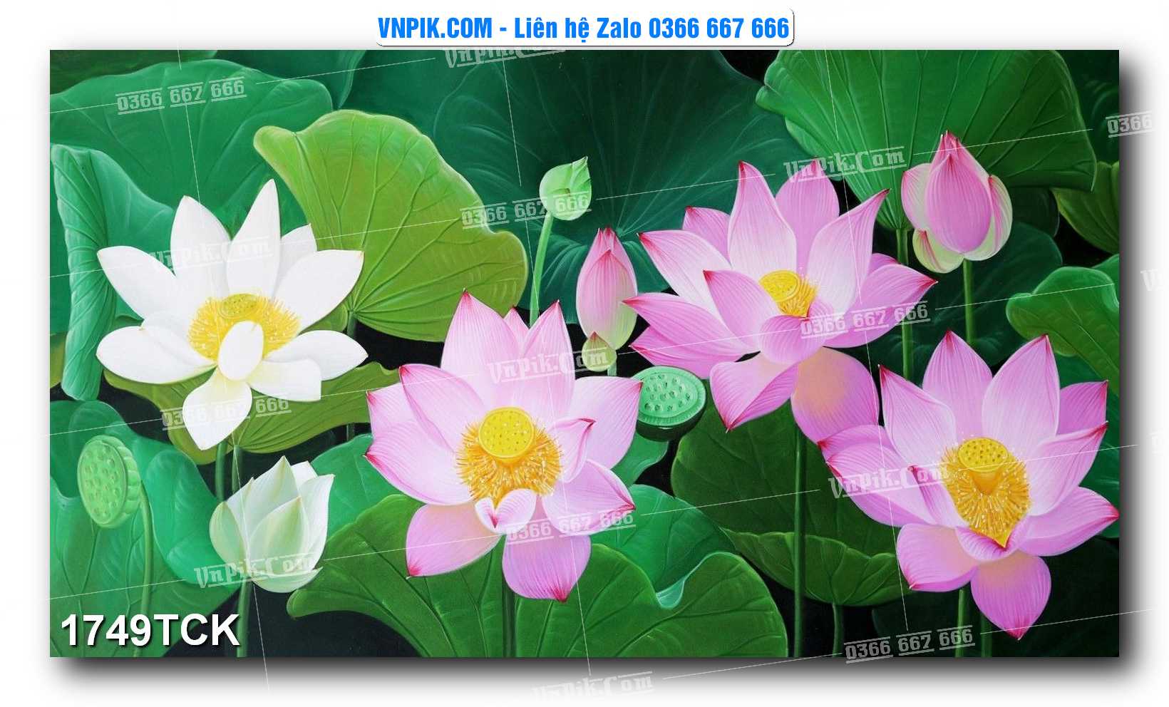 Tranh Hoa Sen – Cá Koi – Cá Chép 1749TCK
