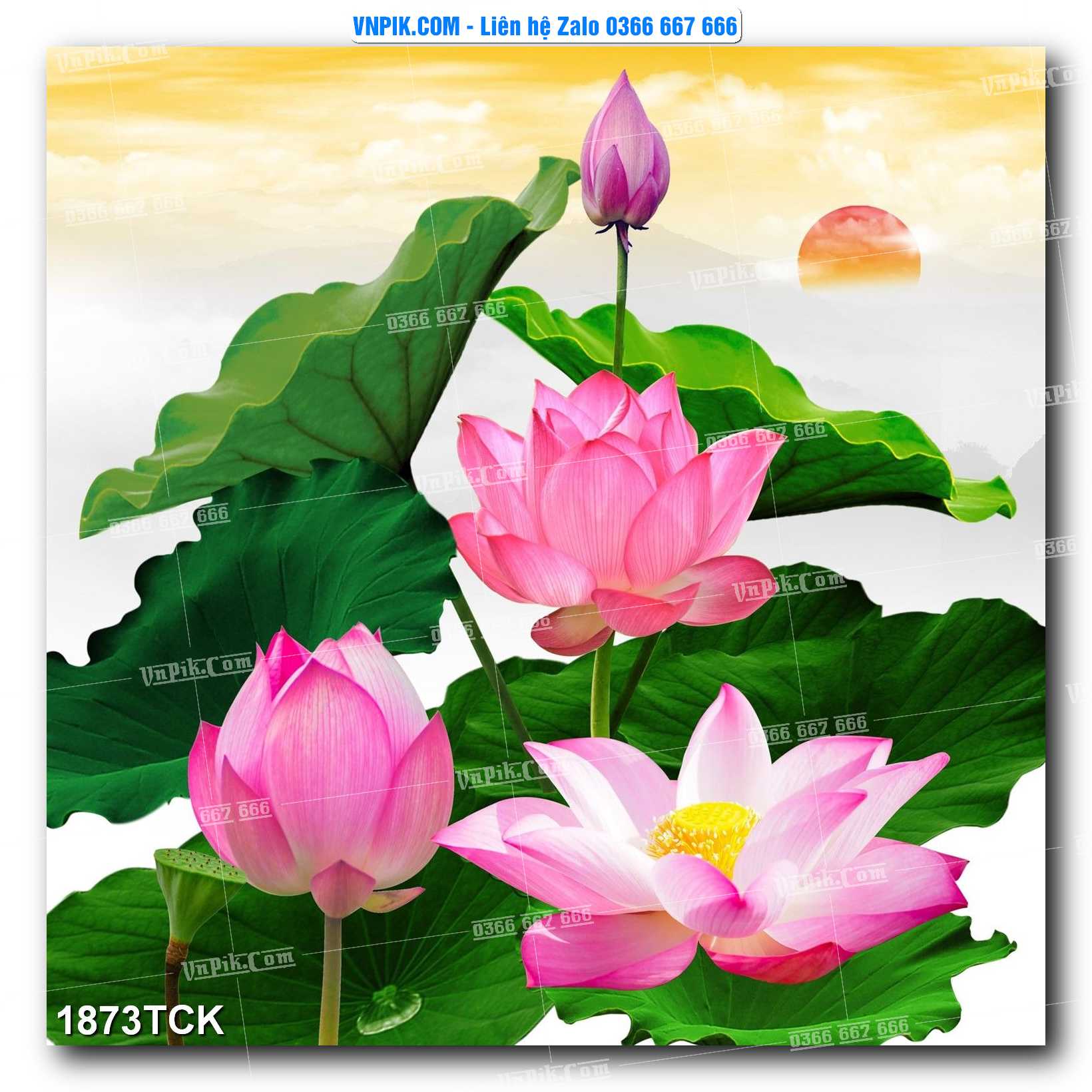Tranh Hoa Sen – Cá Koi – Cá Chép 1873TCK