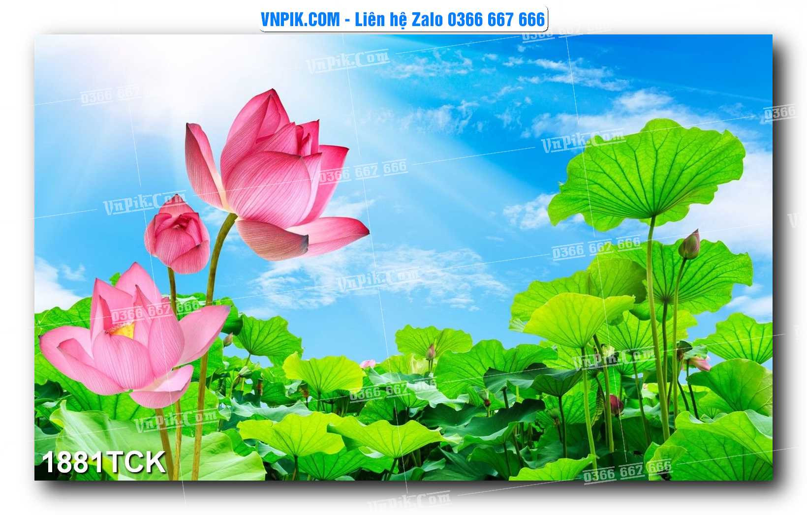Tranh Hoa Sen – Cá Koi – Cá Chép 1881TCK