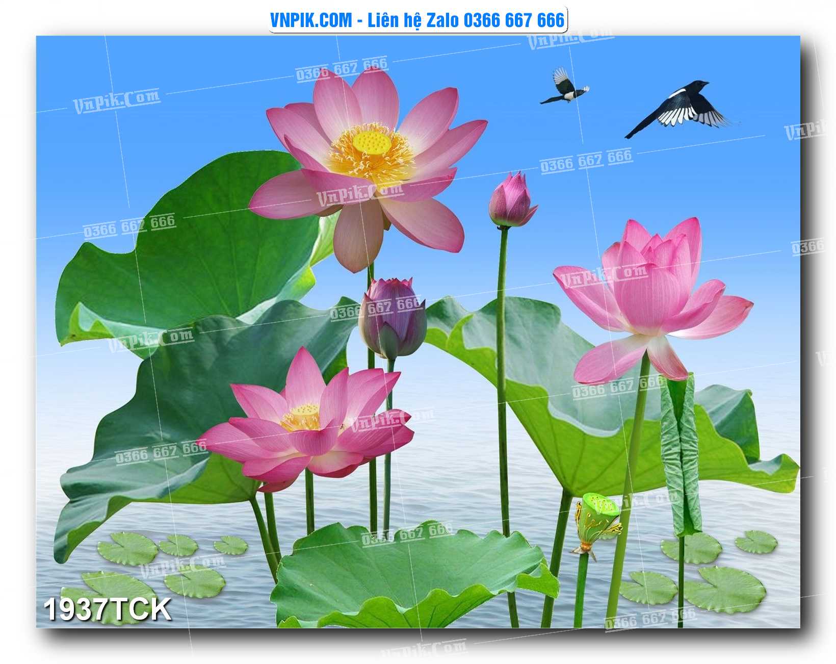 Tranh Hoa Sen – Cá Koi – Cá Chép 1937TCK