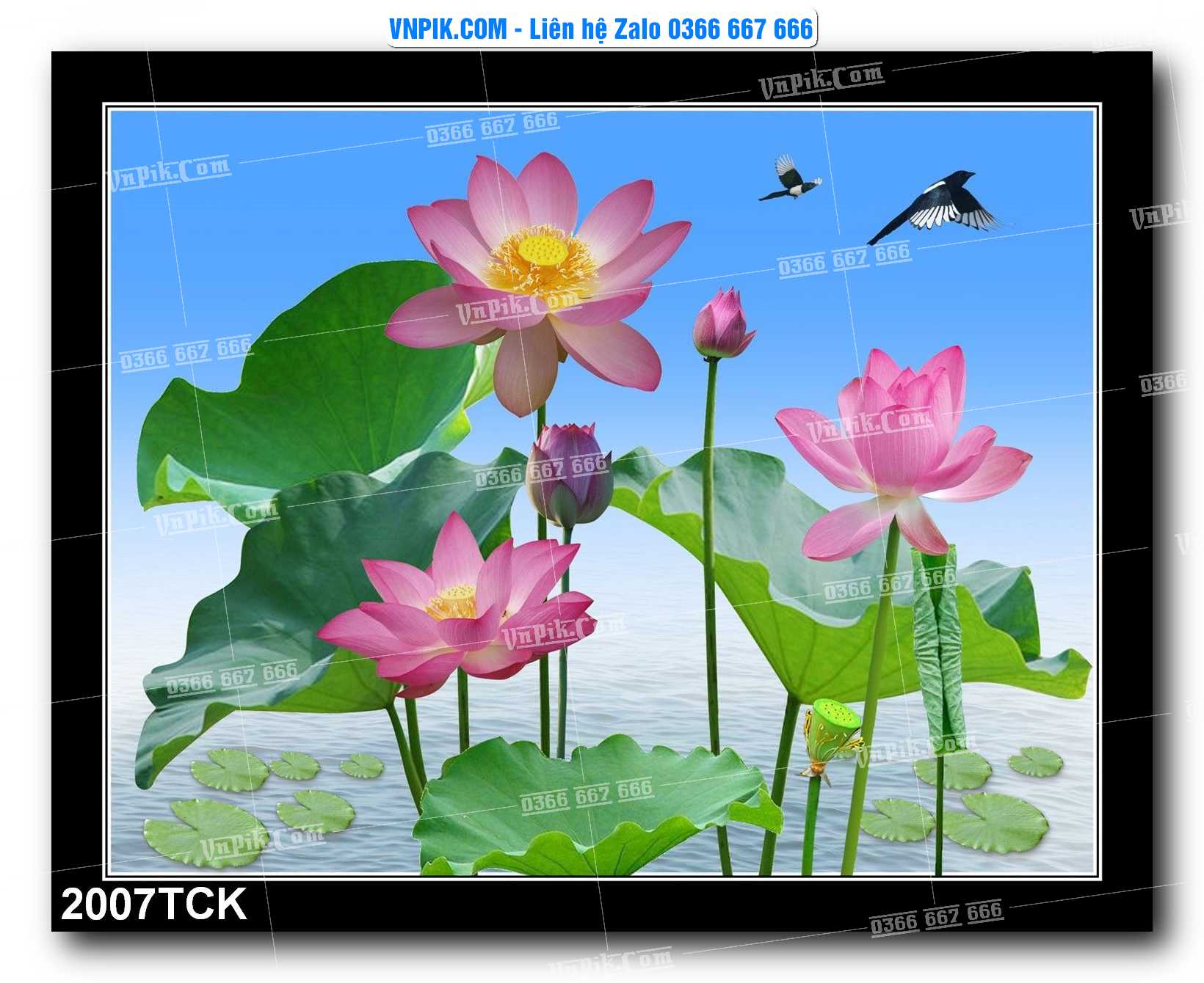 Tranh Hoa Sen – Cá Koi – Cá Chép 2007TCK