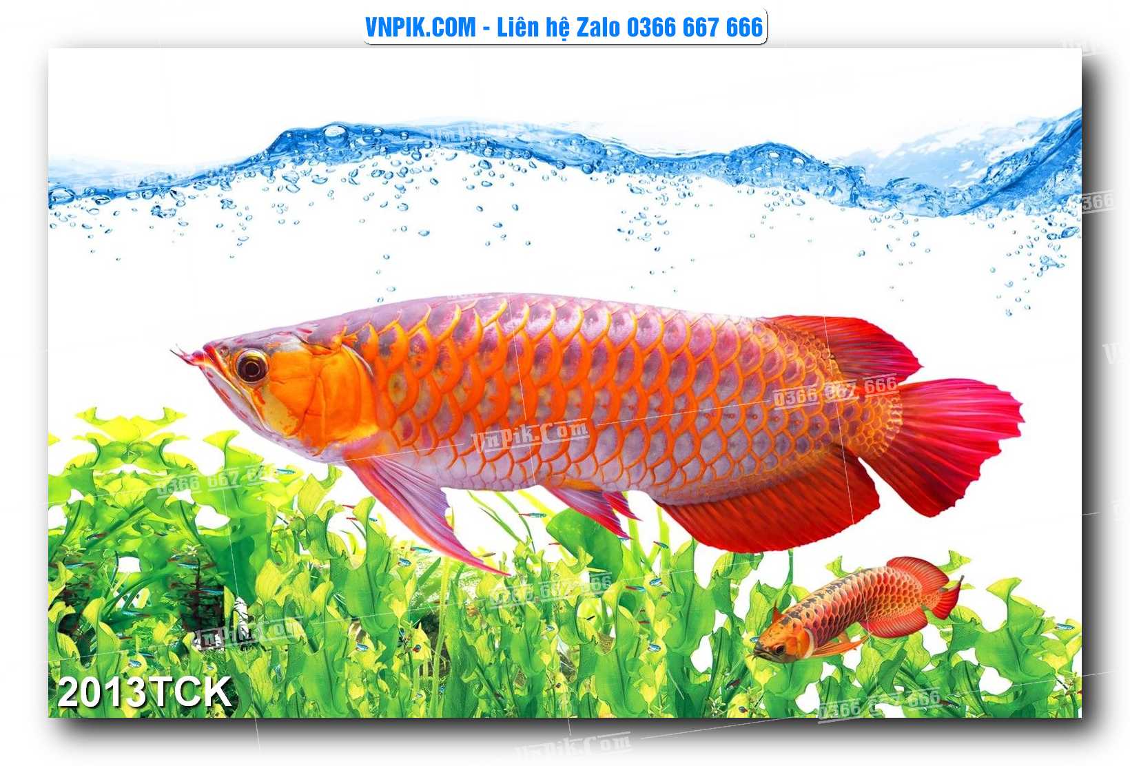 Tranh Hoa Sen – Cá Koi – Cá Chép 2013TCK