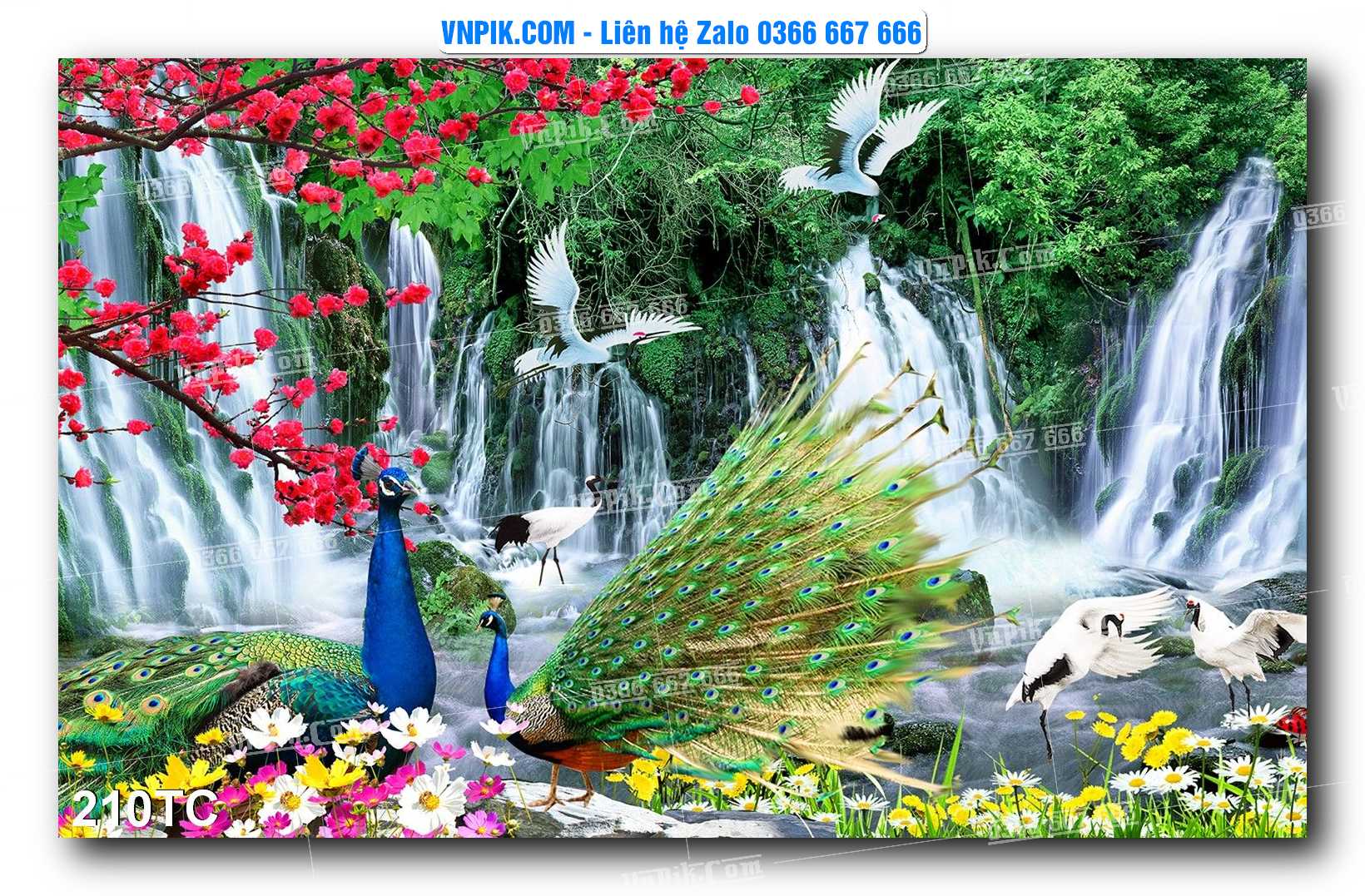Tranh Treo Tường – Chim Công Hoa Mẫu Đơn 210TC