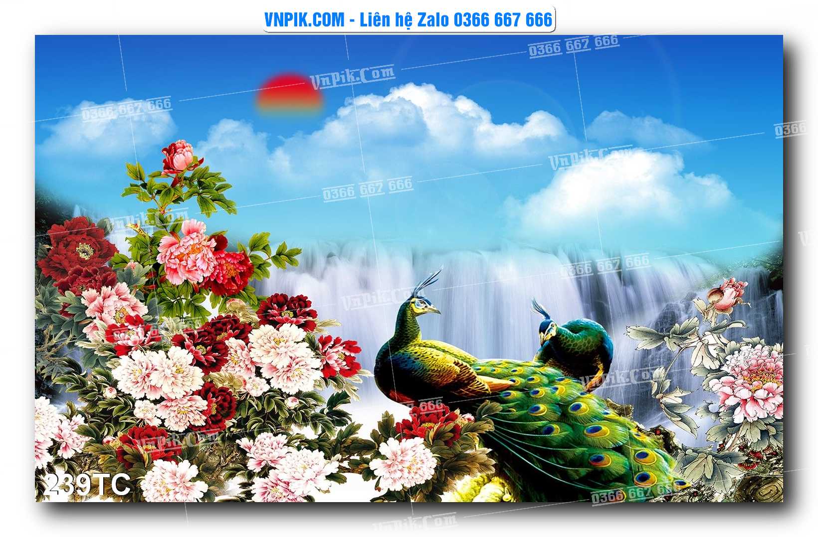 Tranh Treo Tường – Chim Công Hoa Mẫu Đơn 239TC