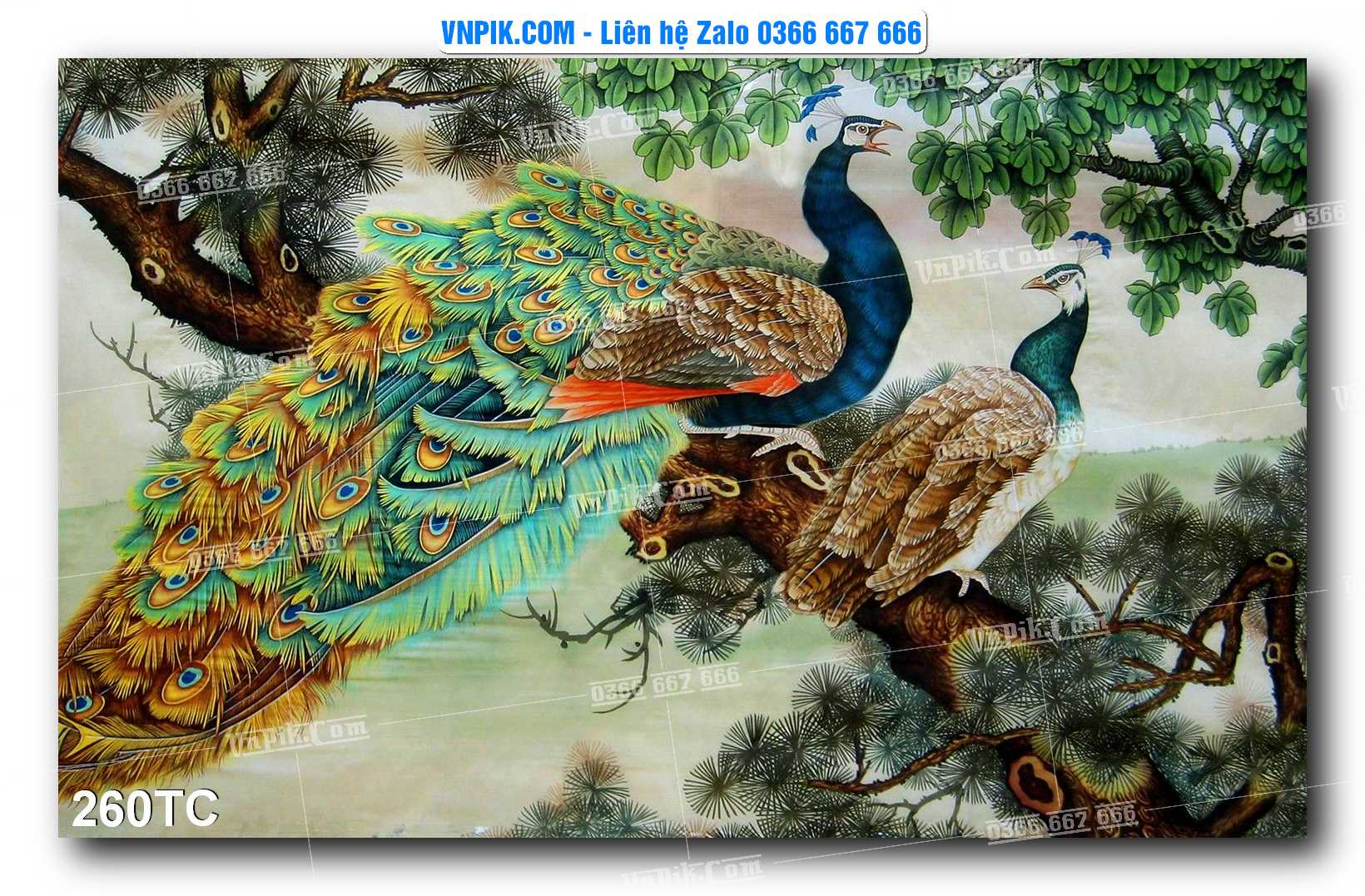 Tranh Treo Tường – Chim Công Hoa Mẫu Đơn 260TC