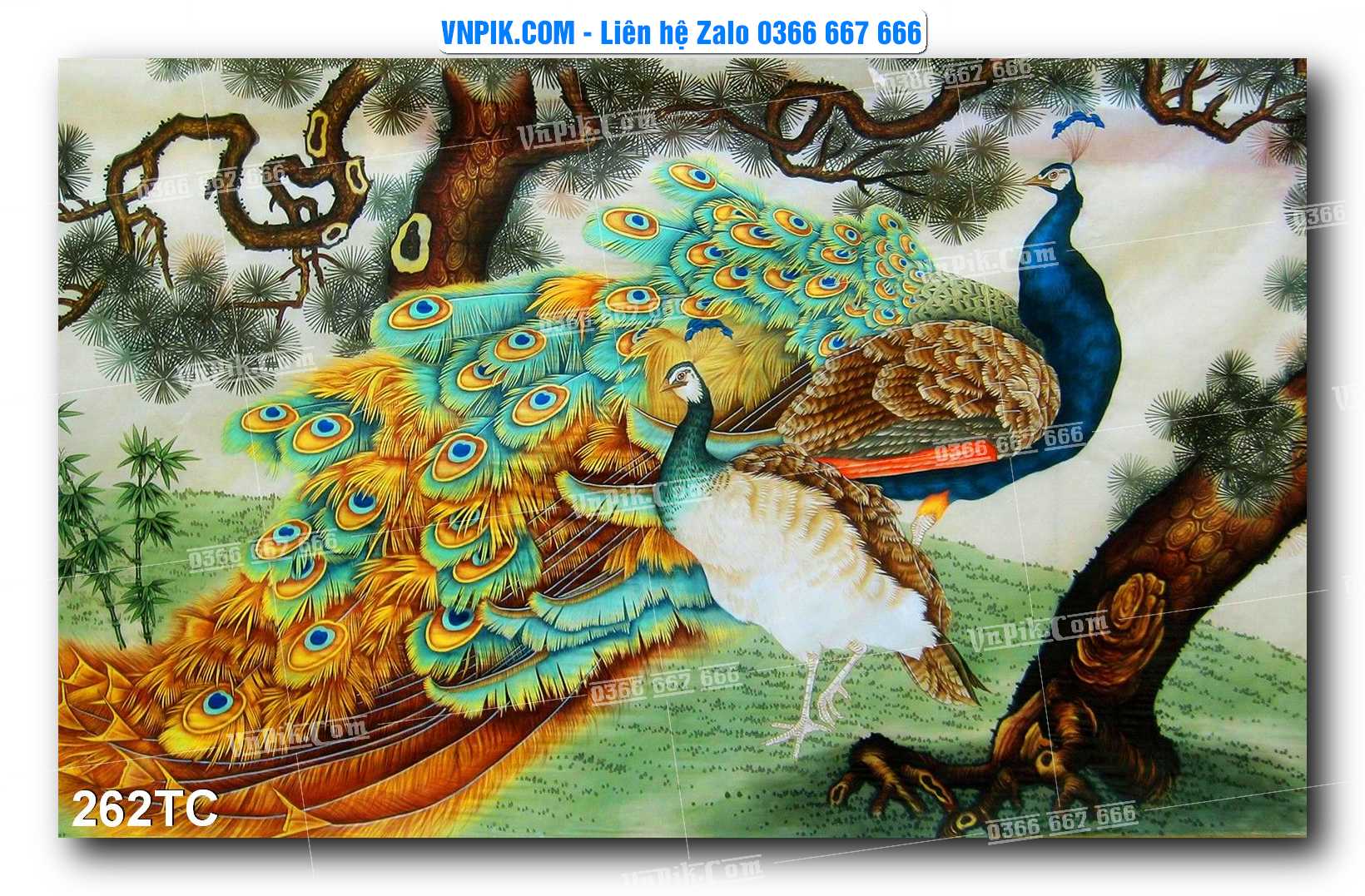 Tranh Treo Tường – Chim Công Hoa Mẫu Đơn 262TC