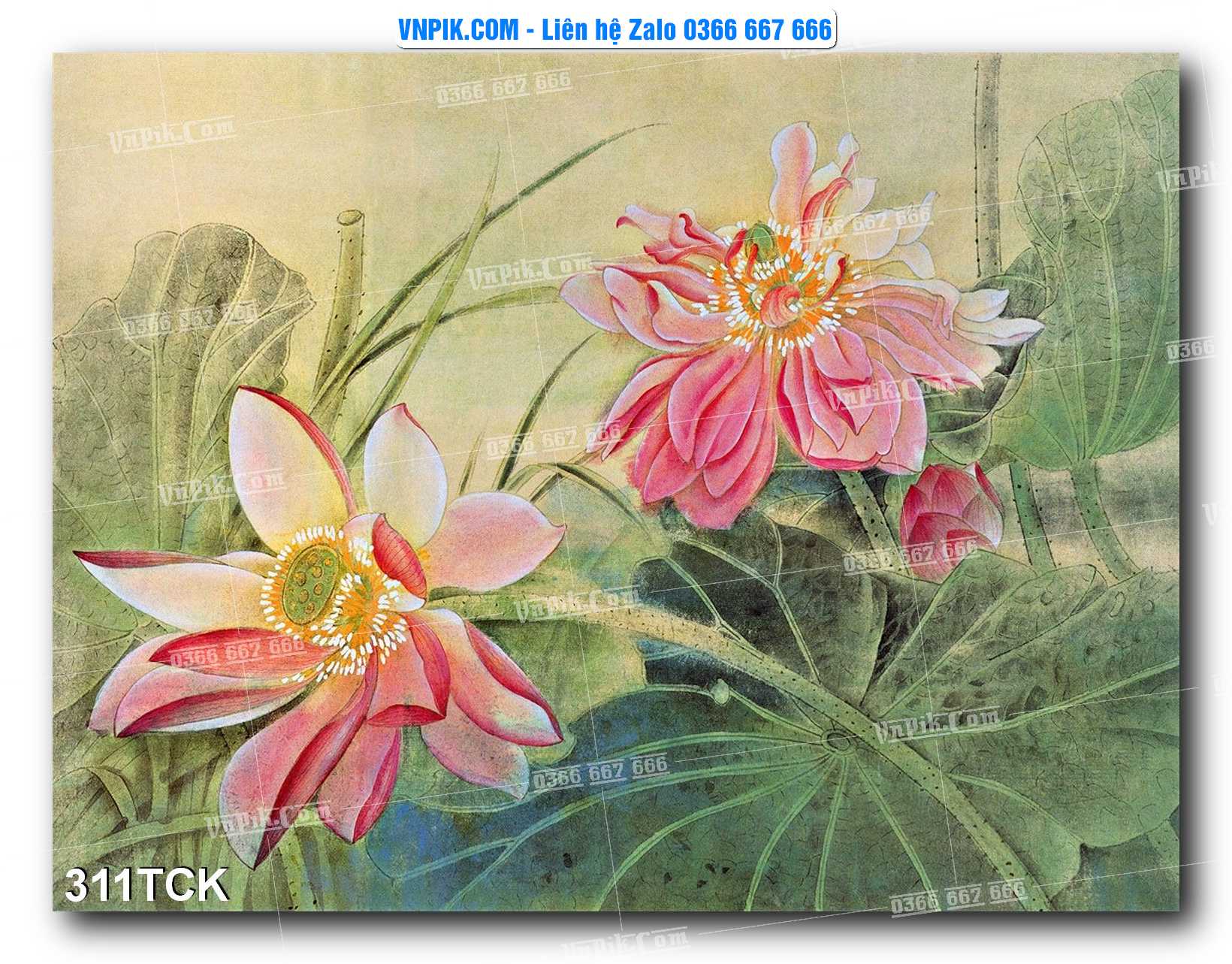 Tranh Hoa Sen – Cá Koi – Cá Chép  311TCK