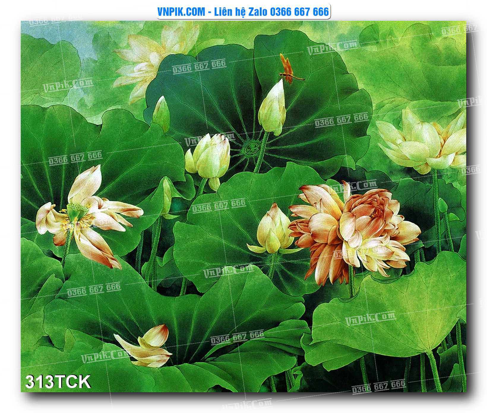 Tranh Hoa Sen – Cá Koi – Cá Chép  313TCK
