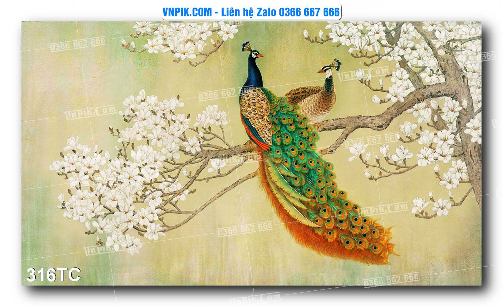 Tranh Treo Tường – Chim Công Hoa Mẫu Đơn 316TC