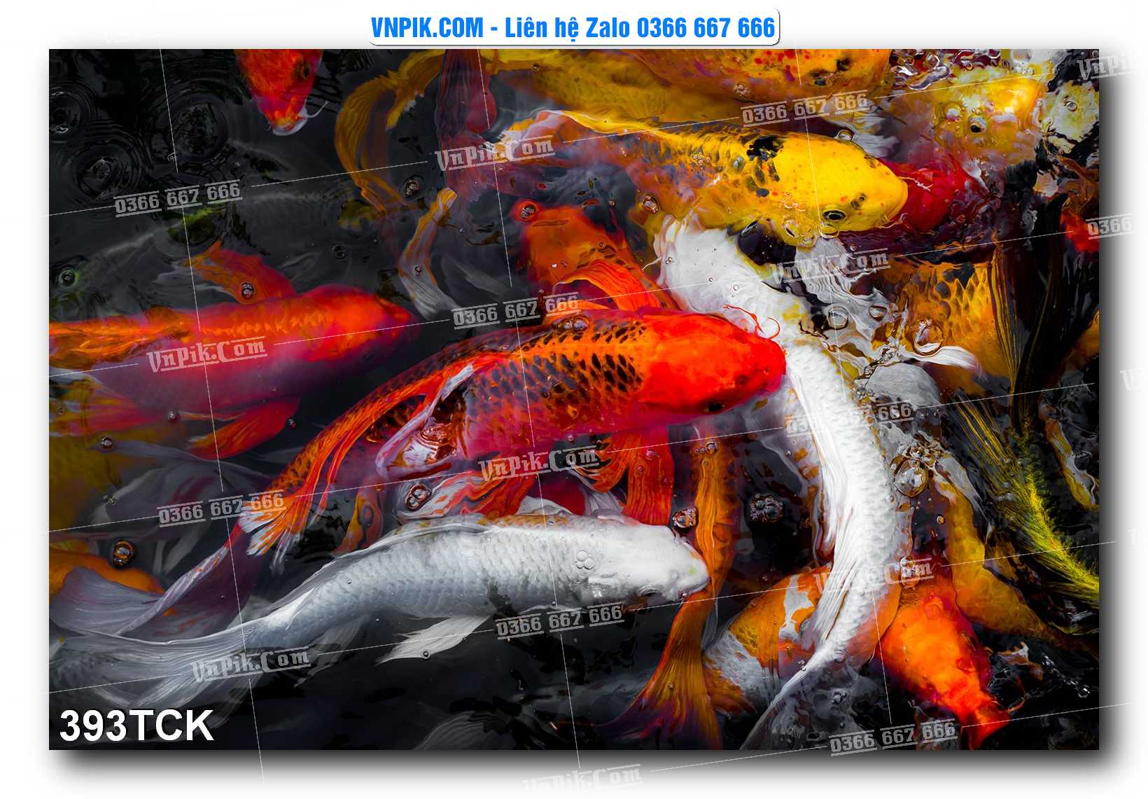 Tranh Hoa Sen – Cá Koi – Cá Chép  393TCK