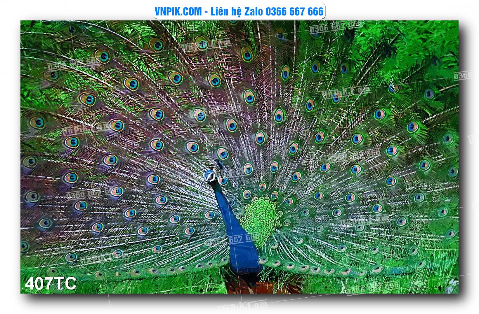 Tranh Treo Tường – Chim Công Hoa Mẫu Đơn 407TC