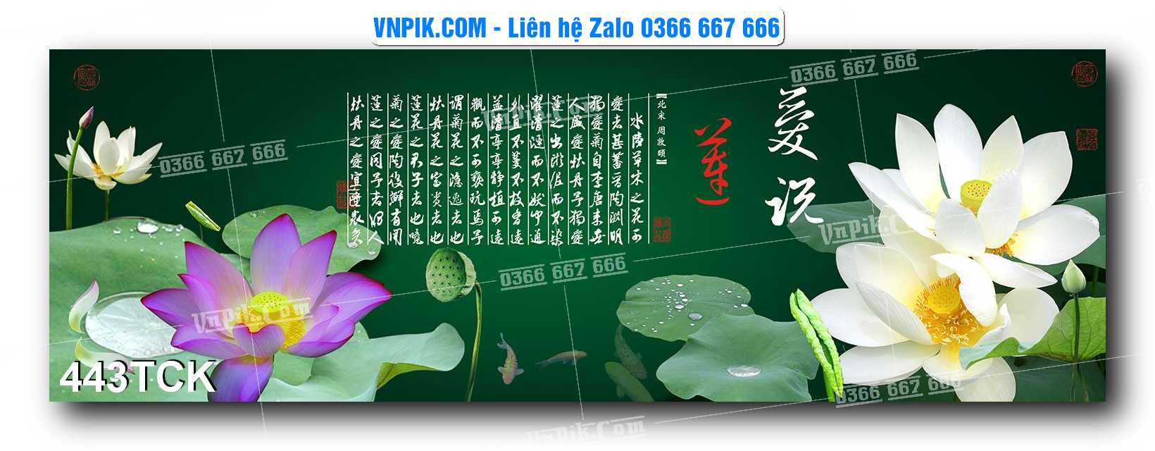 Tranh Hoa Sen – Cá Koi – Cá Chép  443TCK