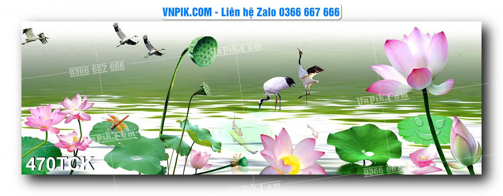 Tranh Hoa Sen – Cá Koi – Cá Chép  470TCK