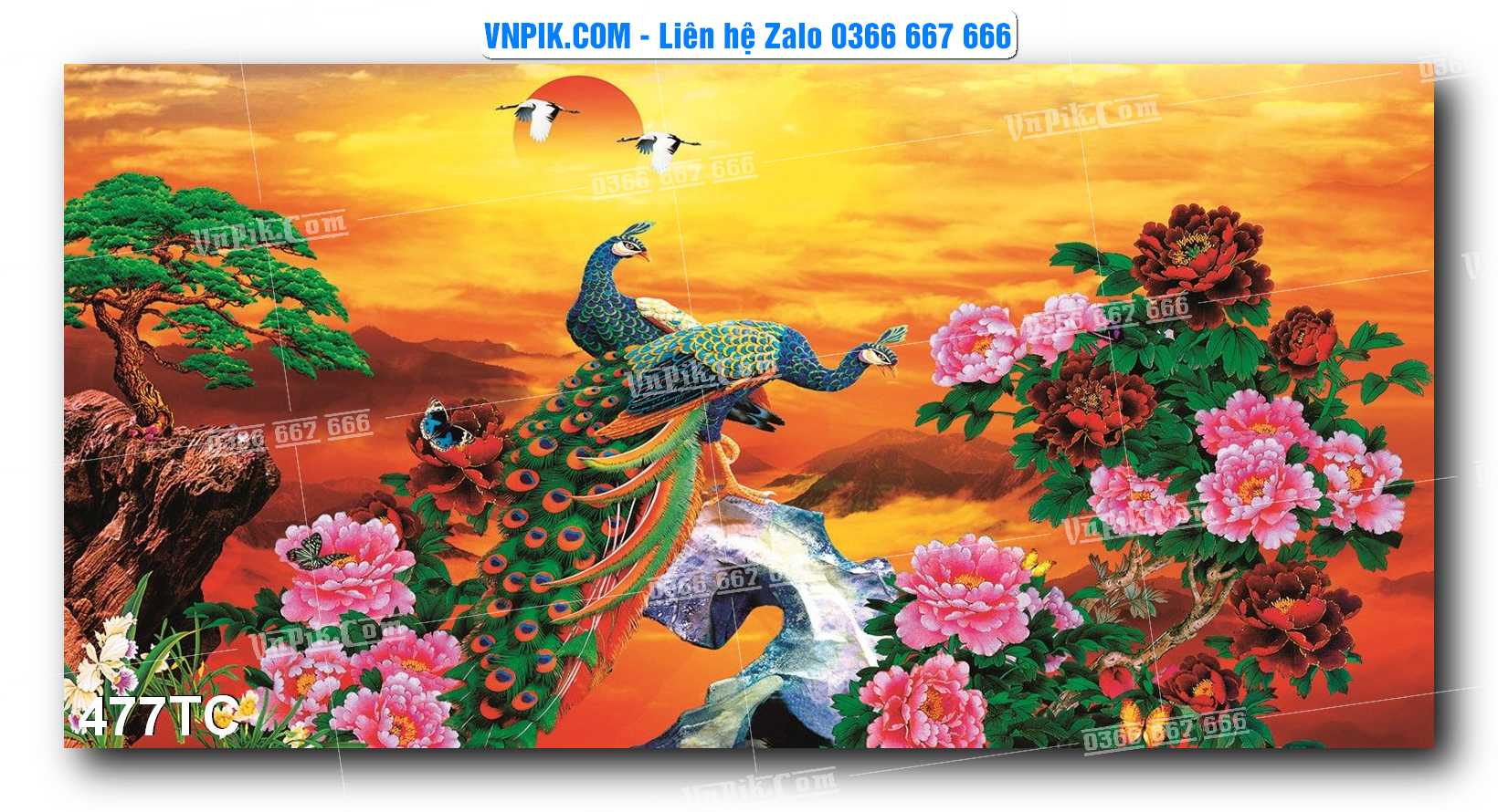 Tranh Treo Tường – Chim Công Hoa Mẫu Đơn 477TC