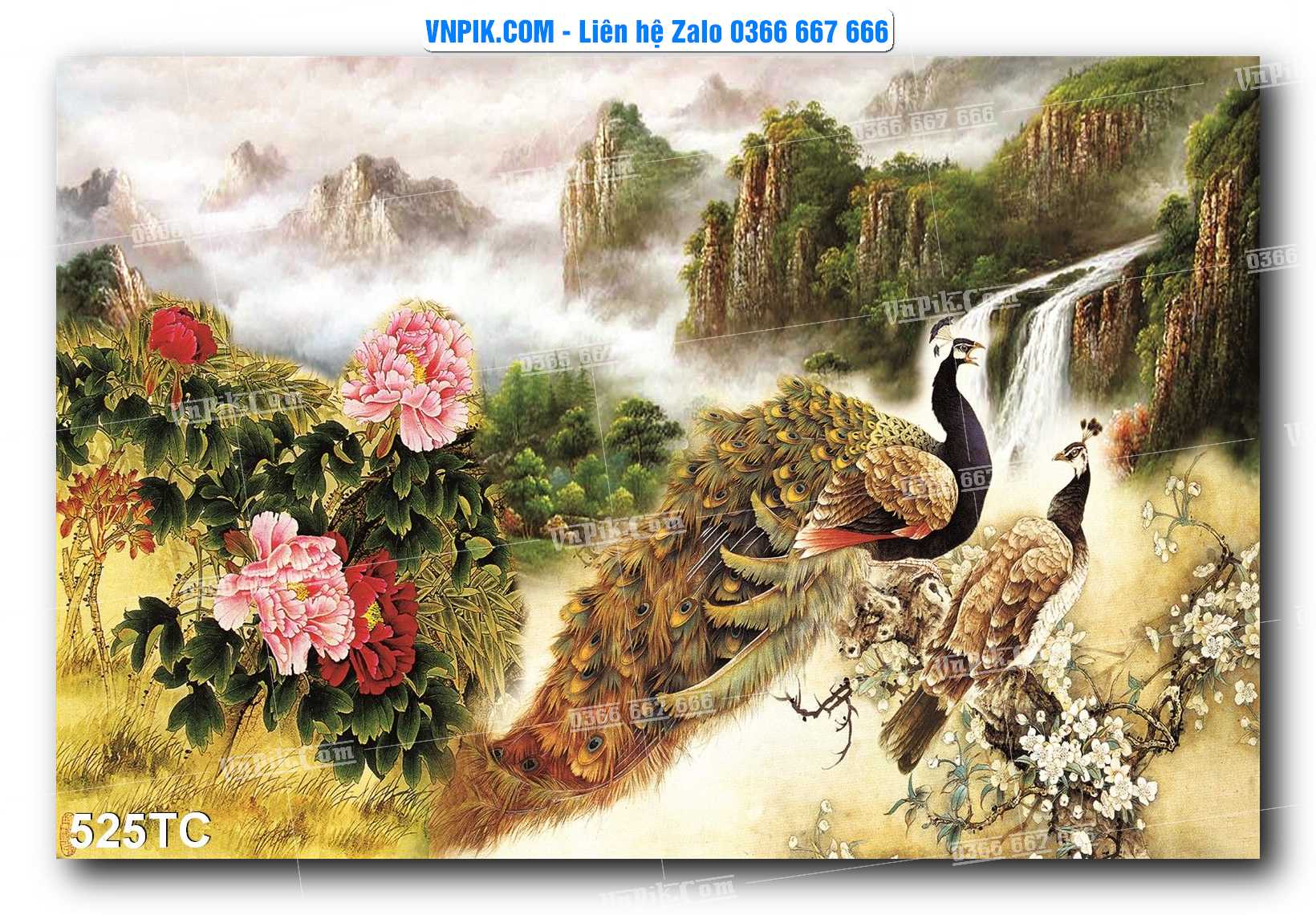 Tranh Treo Tường – Chim Công Hoa Mẫu Đơn 525TC