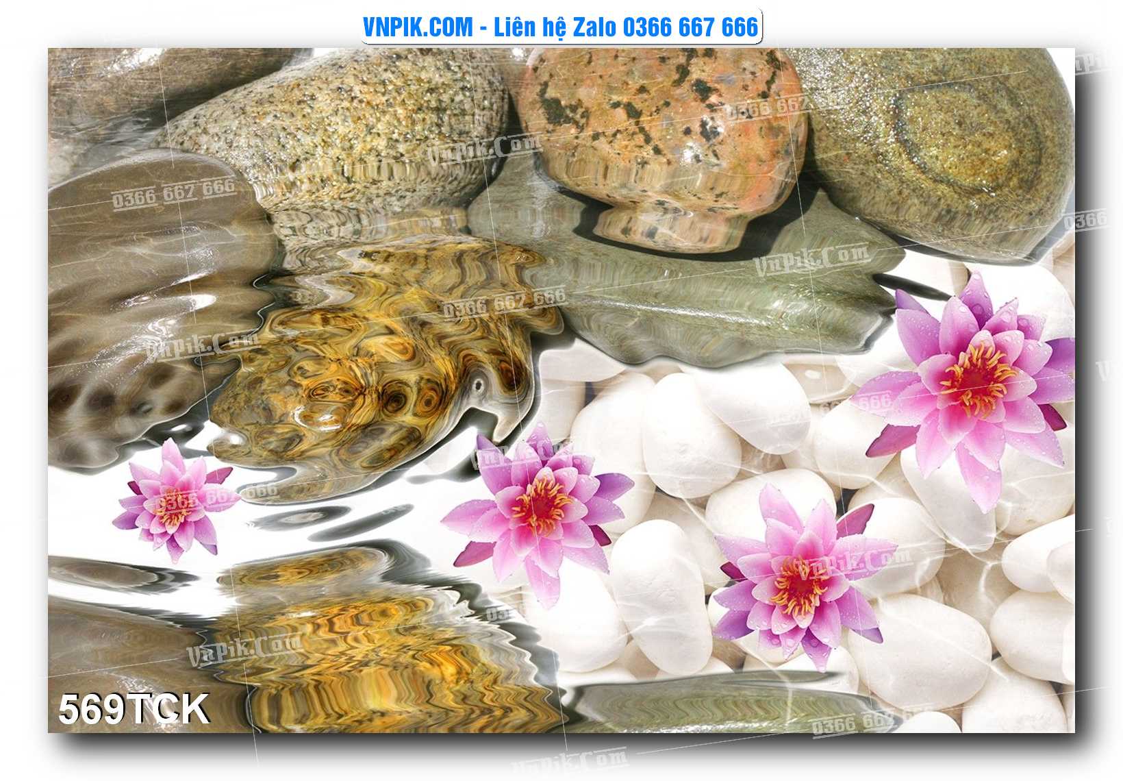 Tranh Hoa Sen – Cá Koi – Cá Chép  569TCK