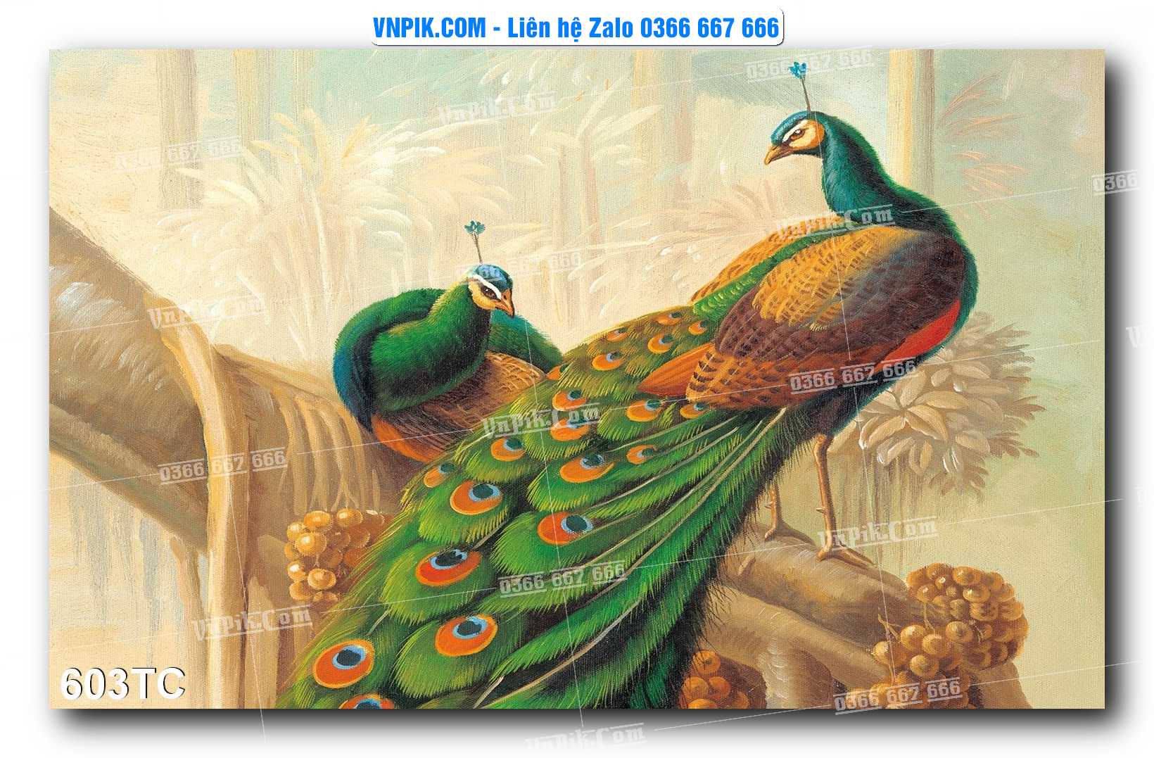 Tranh Treo Tường – Chim Công Hoa Mẫu Đơn 603TC
