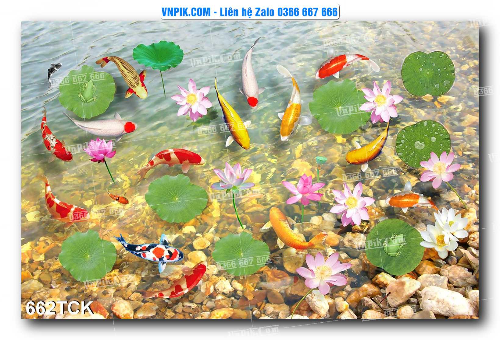 Tranh Hoa Sen – Cá Koi – Cá Chép  662TCK