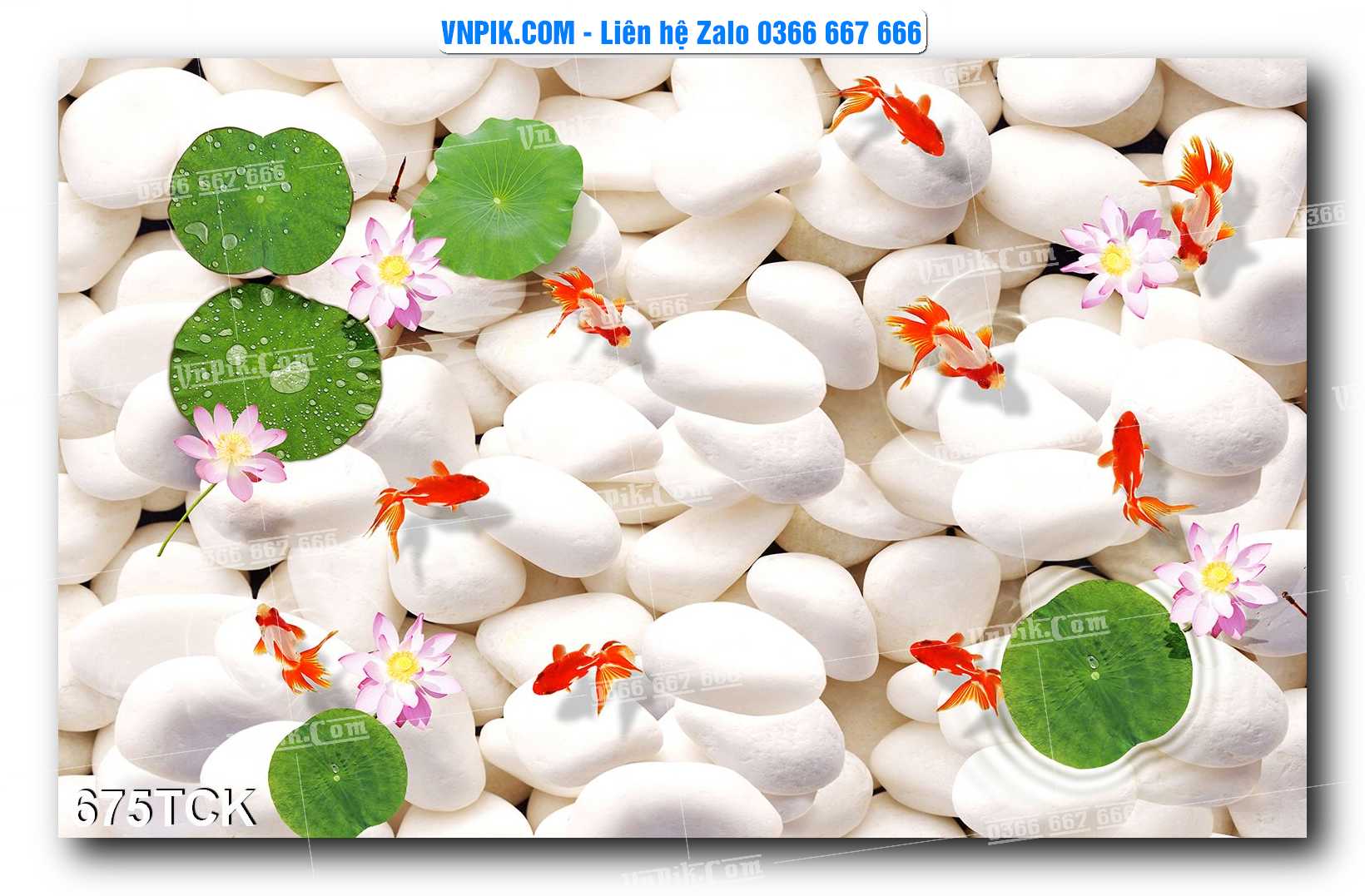 Tranh Hoa Sen – Cá Koi – Cá Chép  675TCK