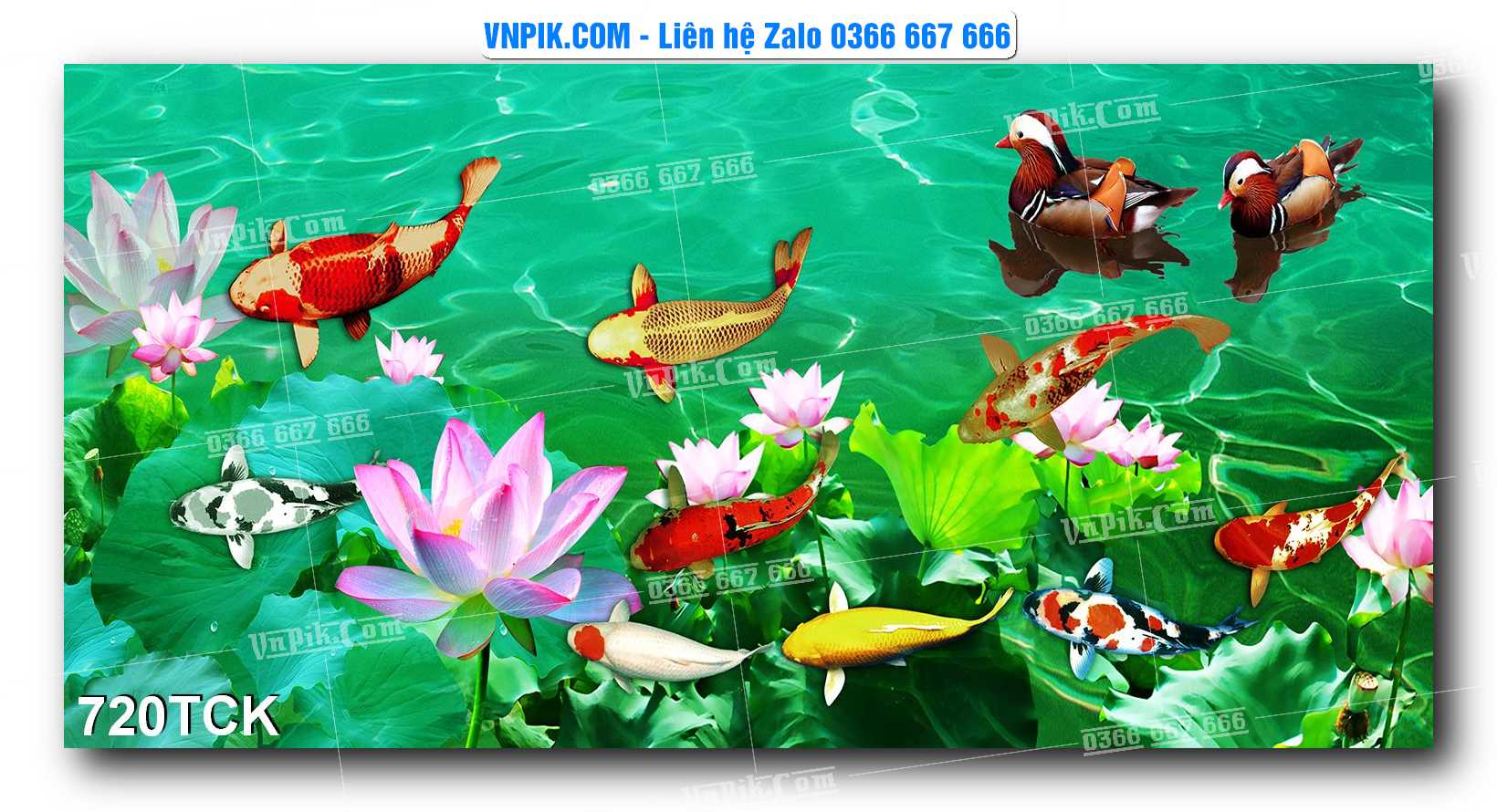 Tranh Hoa Sen – Cá Koi – Cá Chép 720TCK