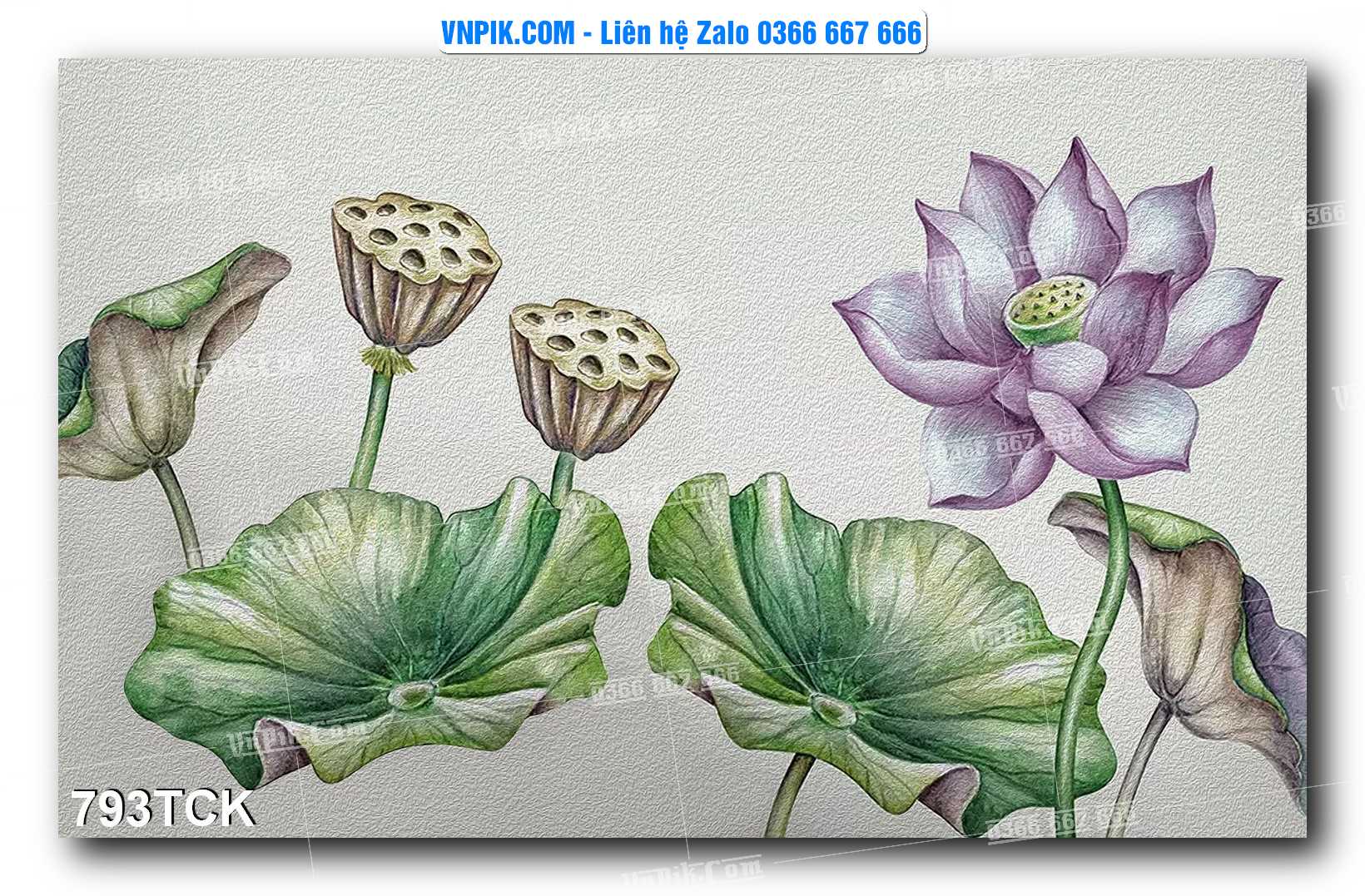 Tranh Hoa Sen – Cá Koi – Cá Chép 793TCK