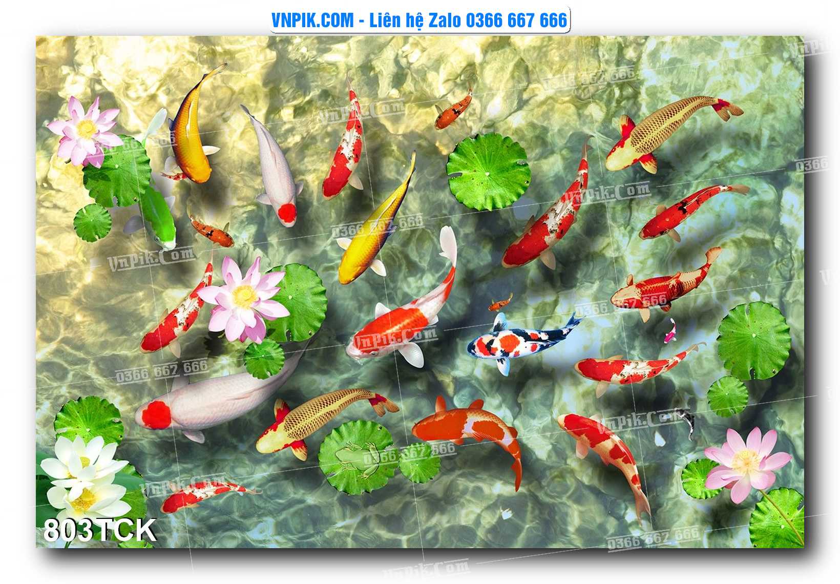 Tranh Hoa Sen – Cá Koi – Cá Chép 800TCK