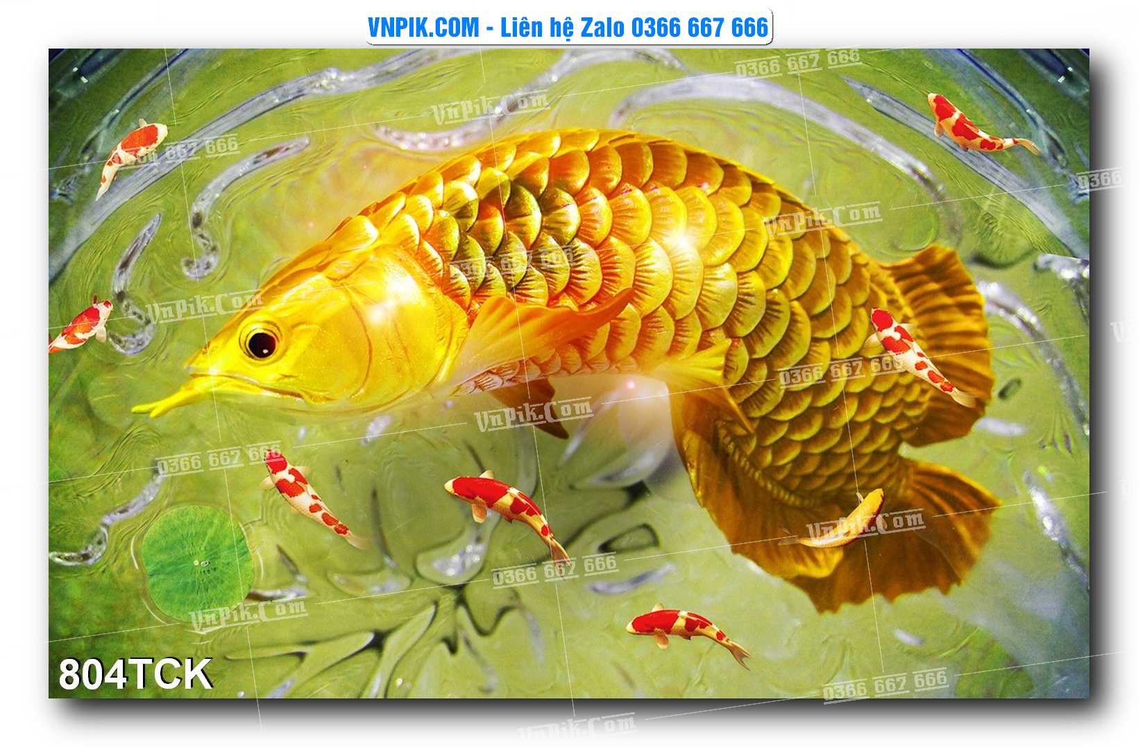 Tranh Hoa Sen – Cá Koi – Cá Chép 801TCK