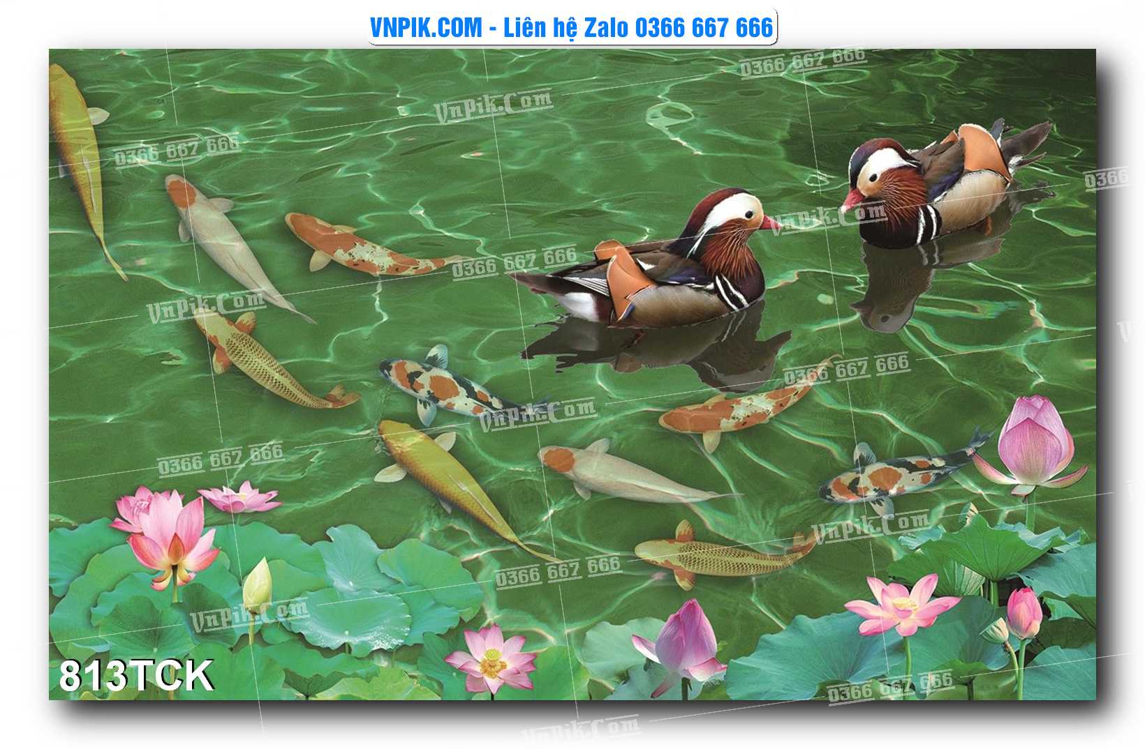 Tranh Hoa Sen – Cá Koi – Cá Chép 810TCK