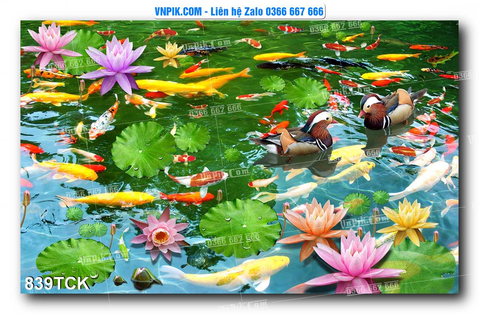 Tranh Hoa Sen – Cá Koi – Cá Chép 836TCK