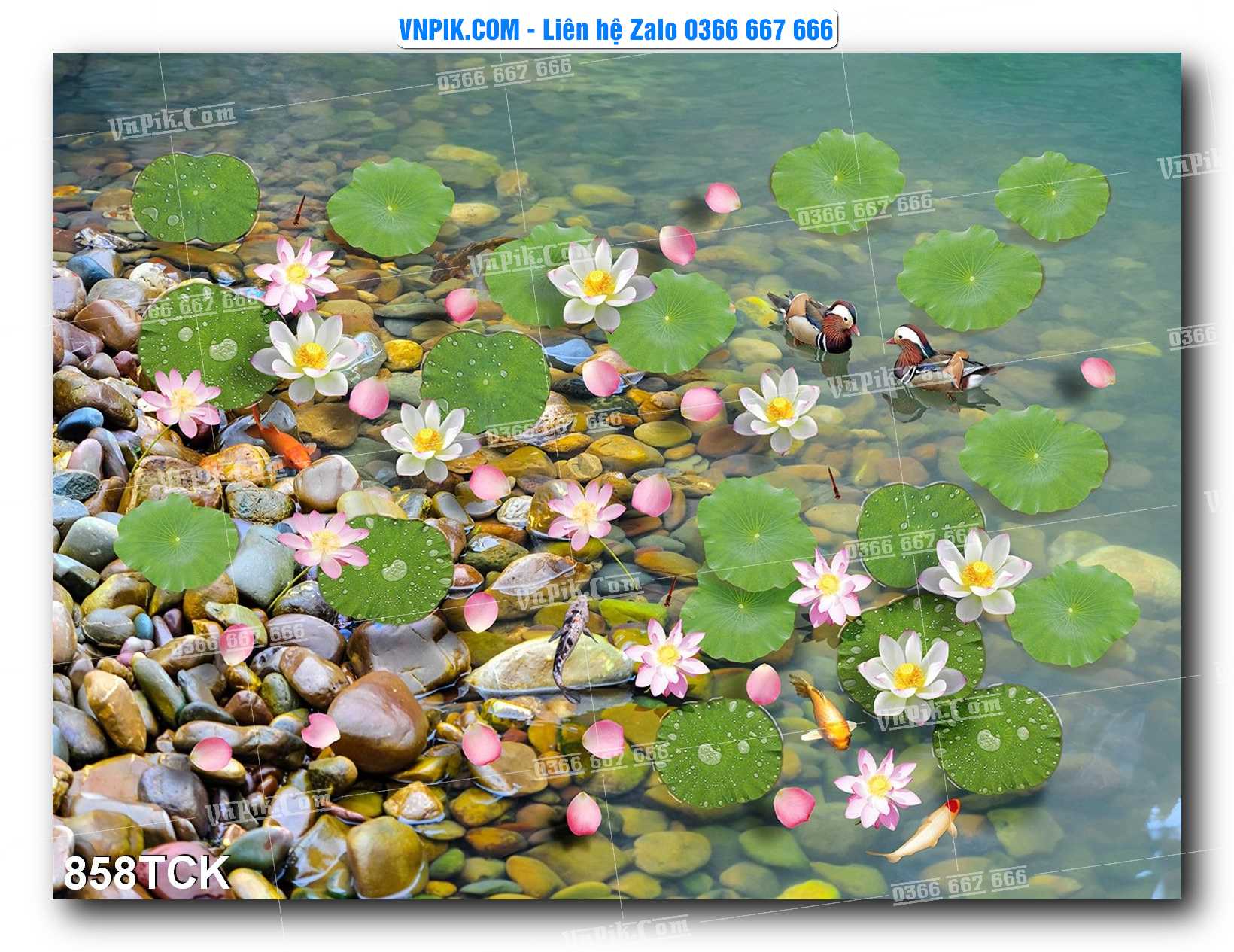 Tranh Hoa Sen – Cá Koi – Cá Chép 858TCK